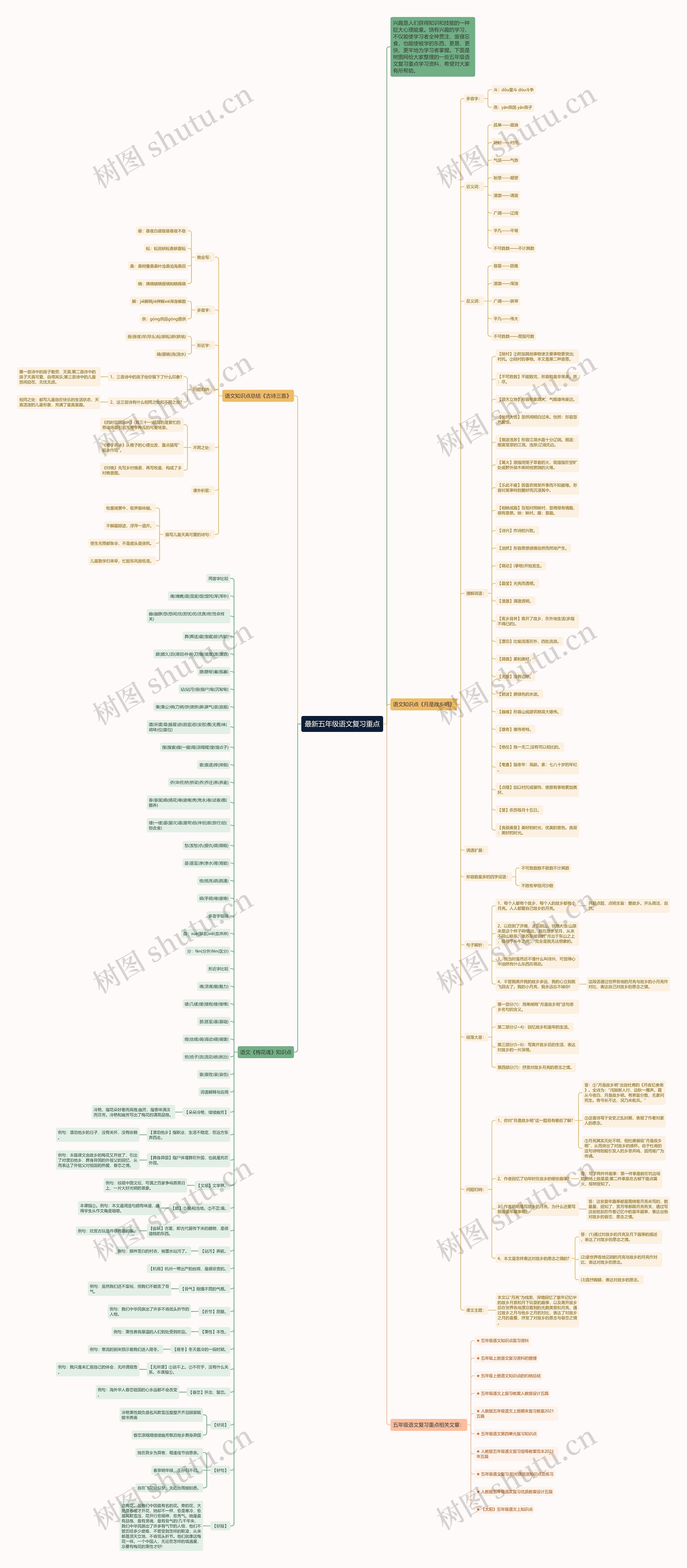 最新五年级语文复习重点思维导图
