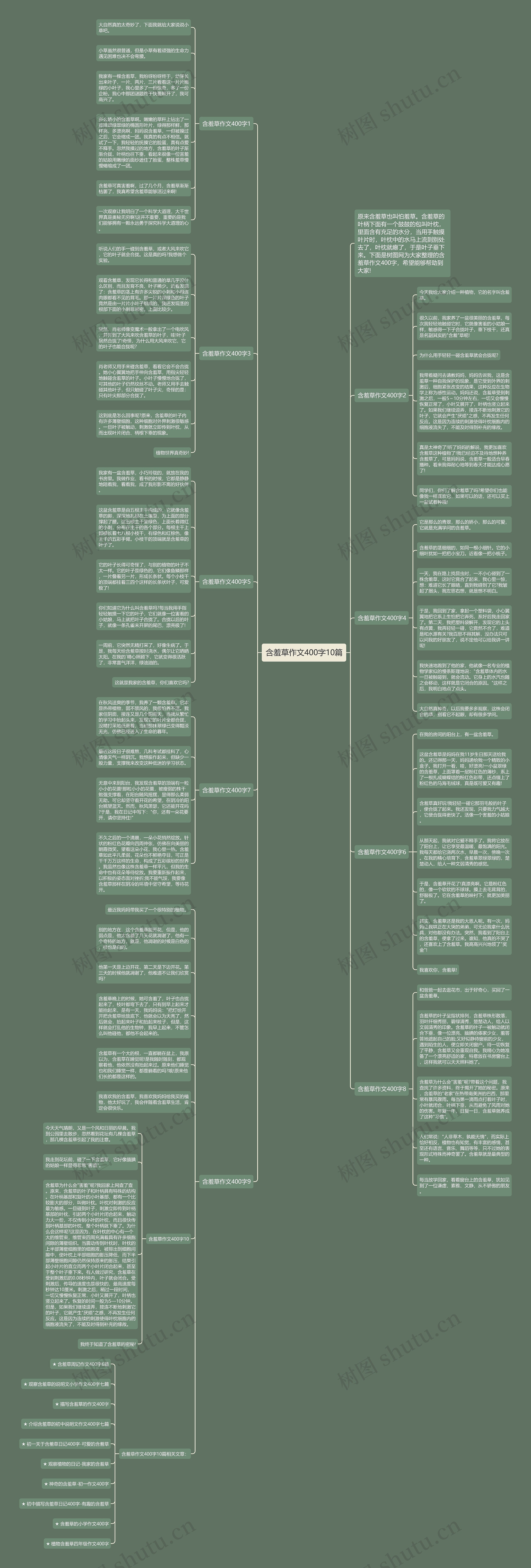 含羞草作文400字10篇思维导图