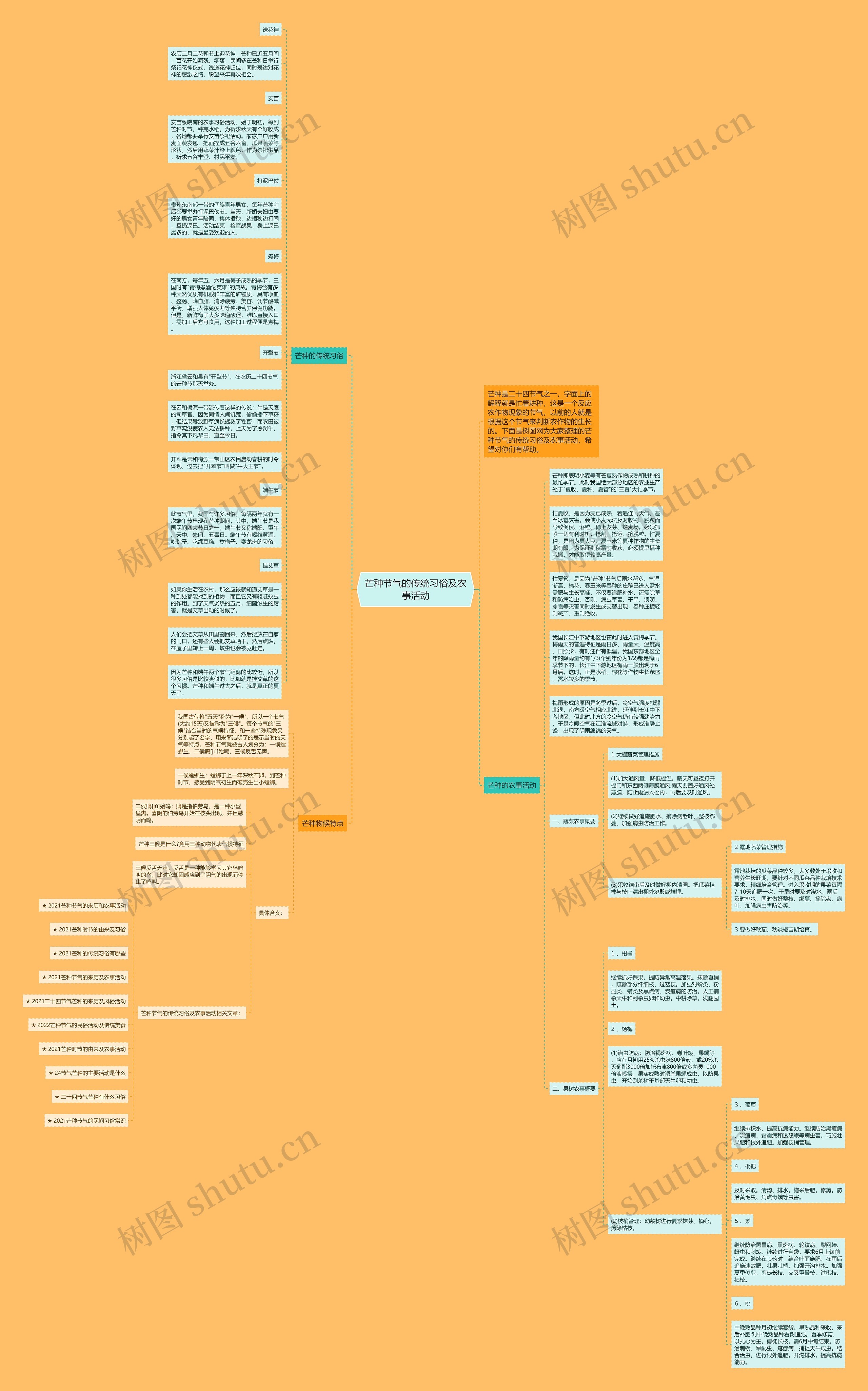 芒种节气的传统习俗及农事活动思维导图