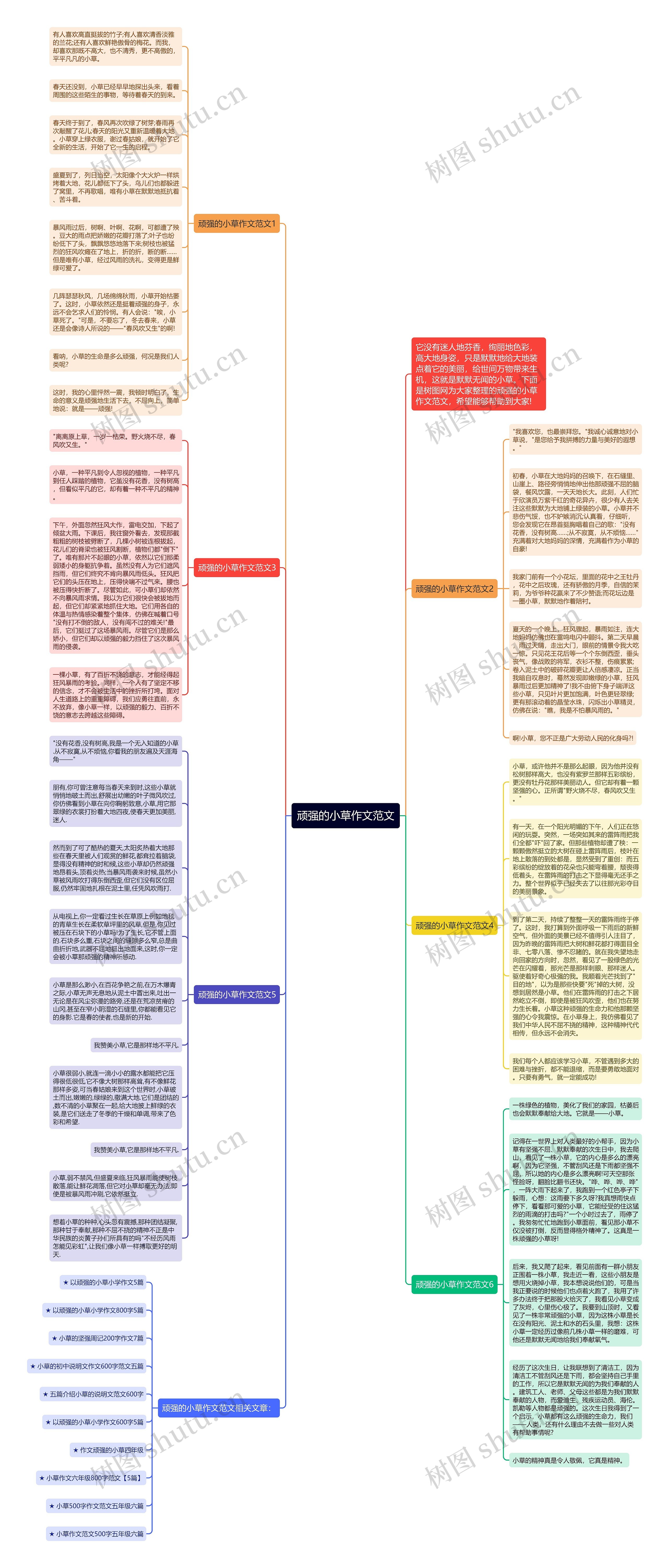 顽强的小草作文范文思维导图