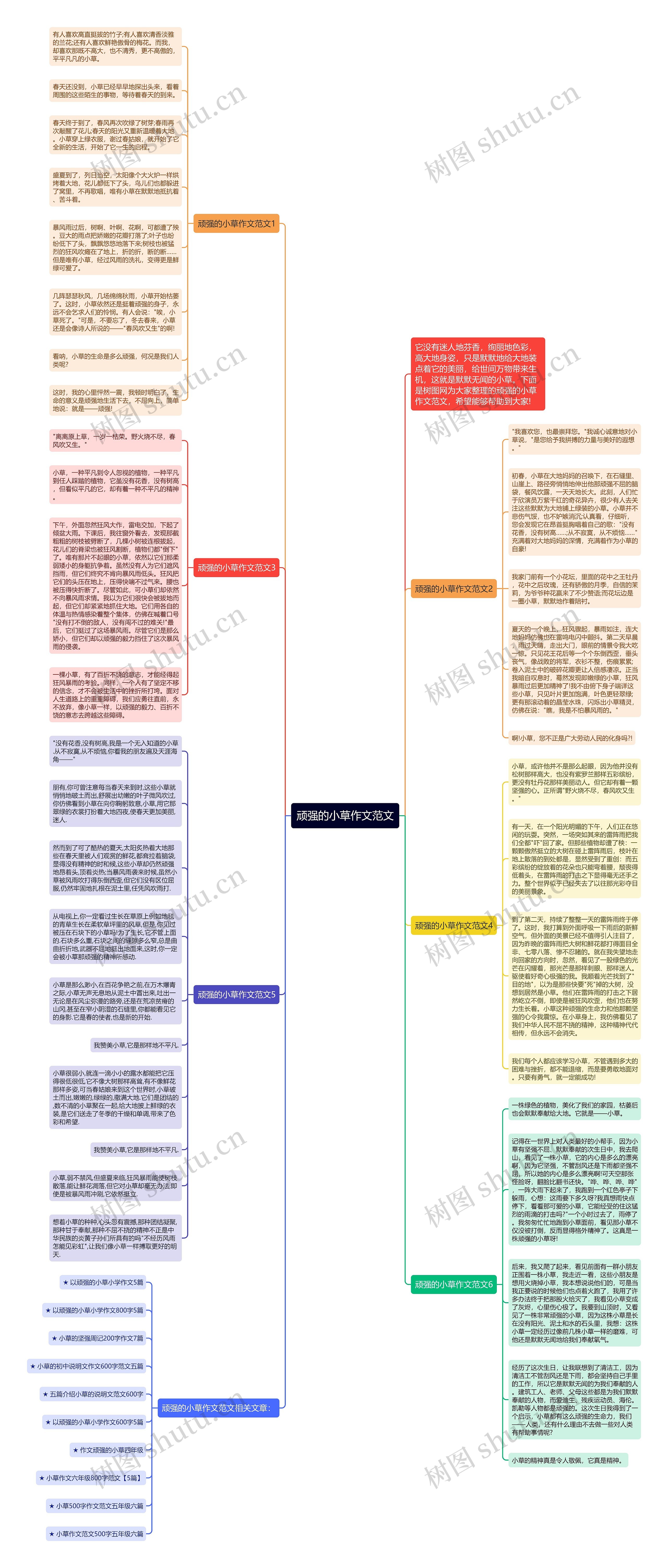顽强的小草作文范文思维导图高清图 顽强的小草作文范文思维导图