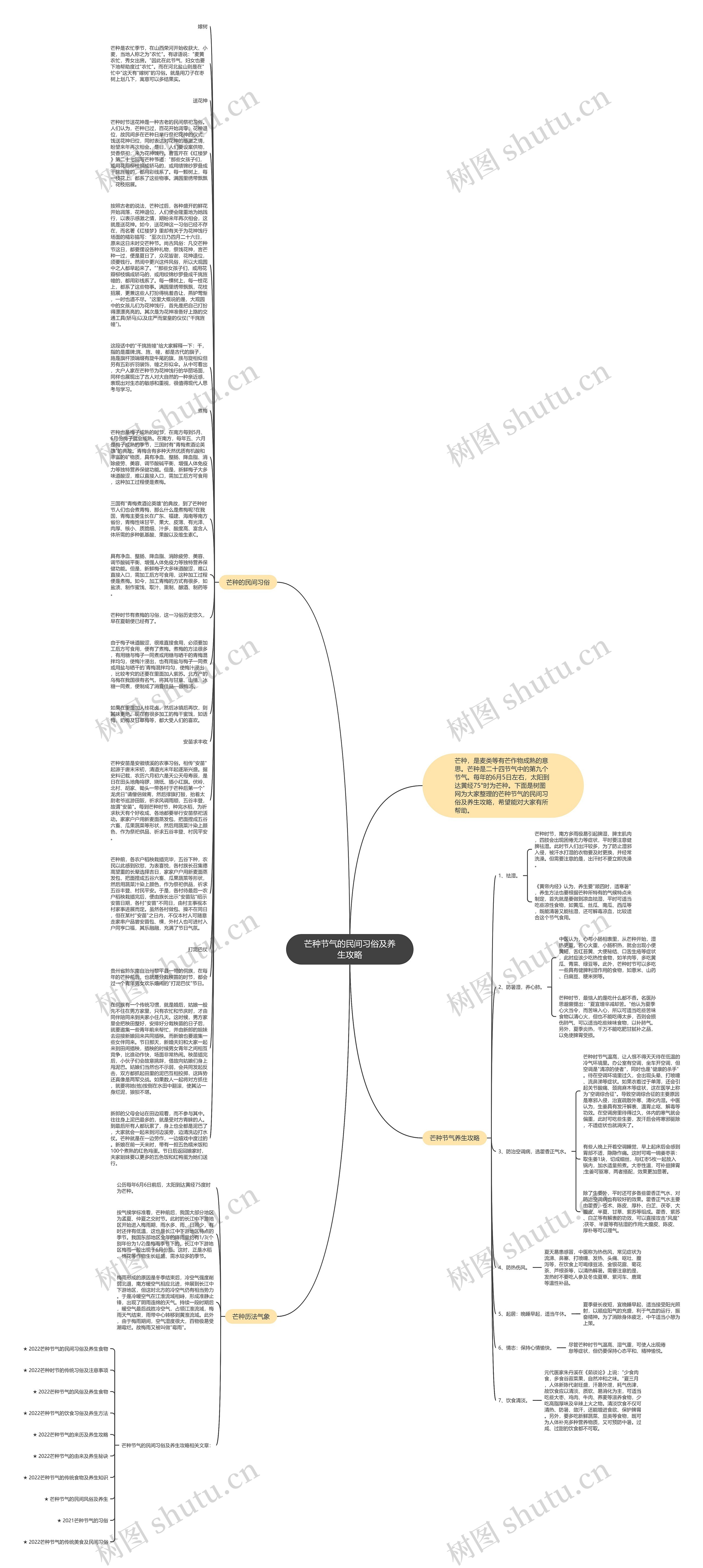 芒种节气的民间习俗及养生攻略思维导图
