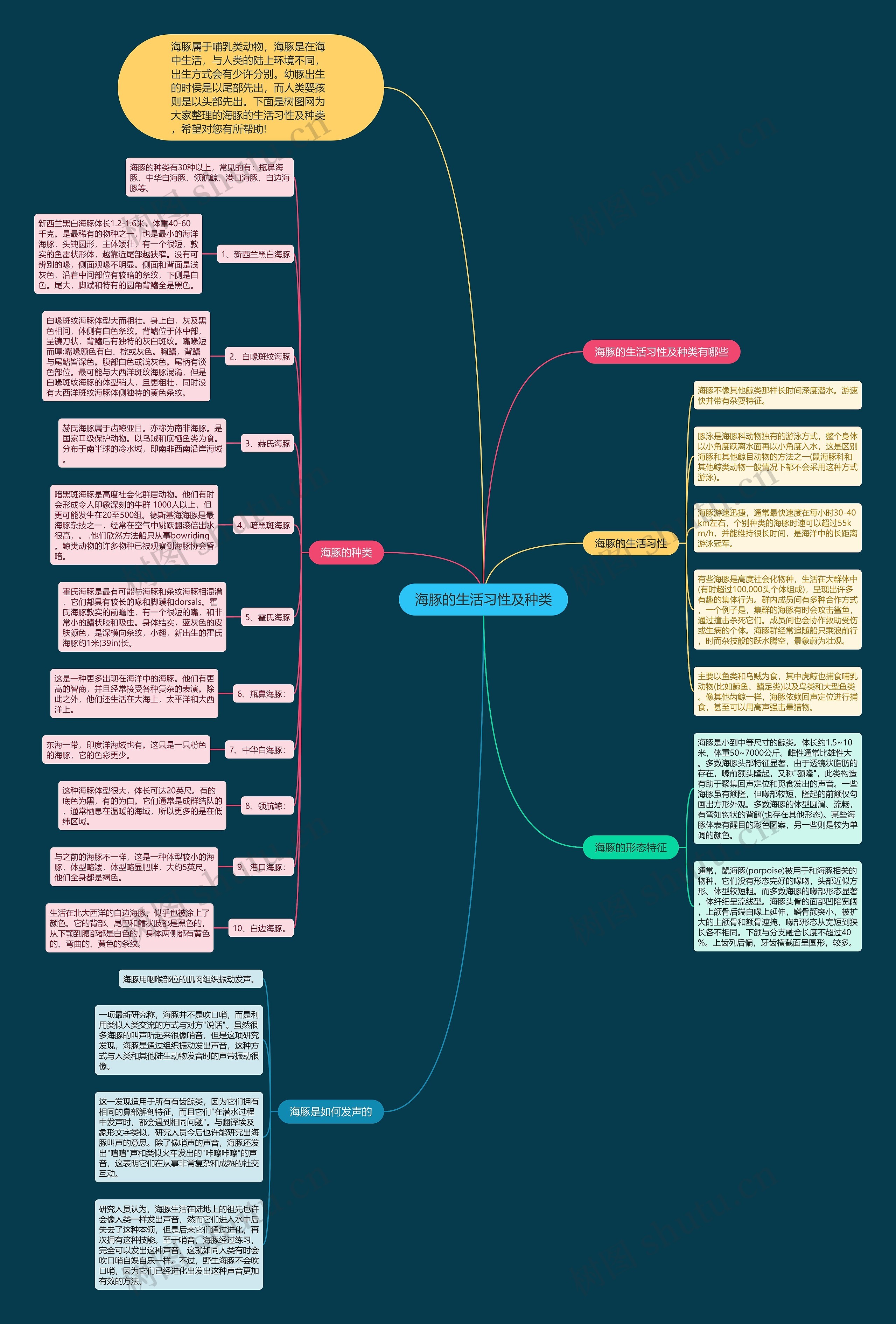 海豚的生活习性及种类思维导图