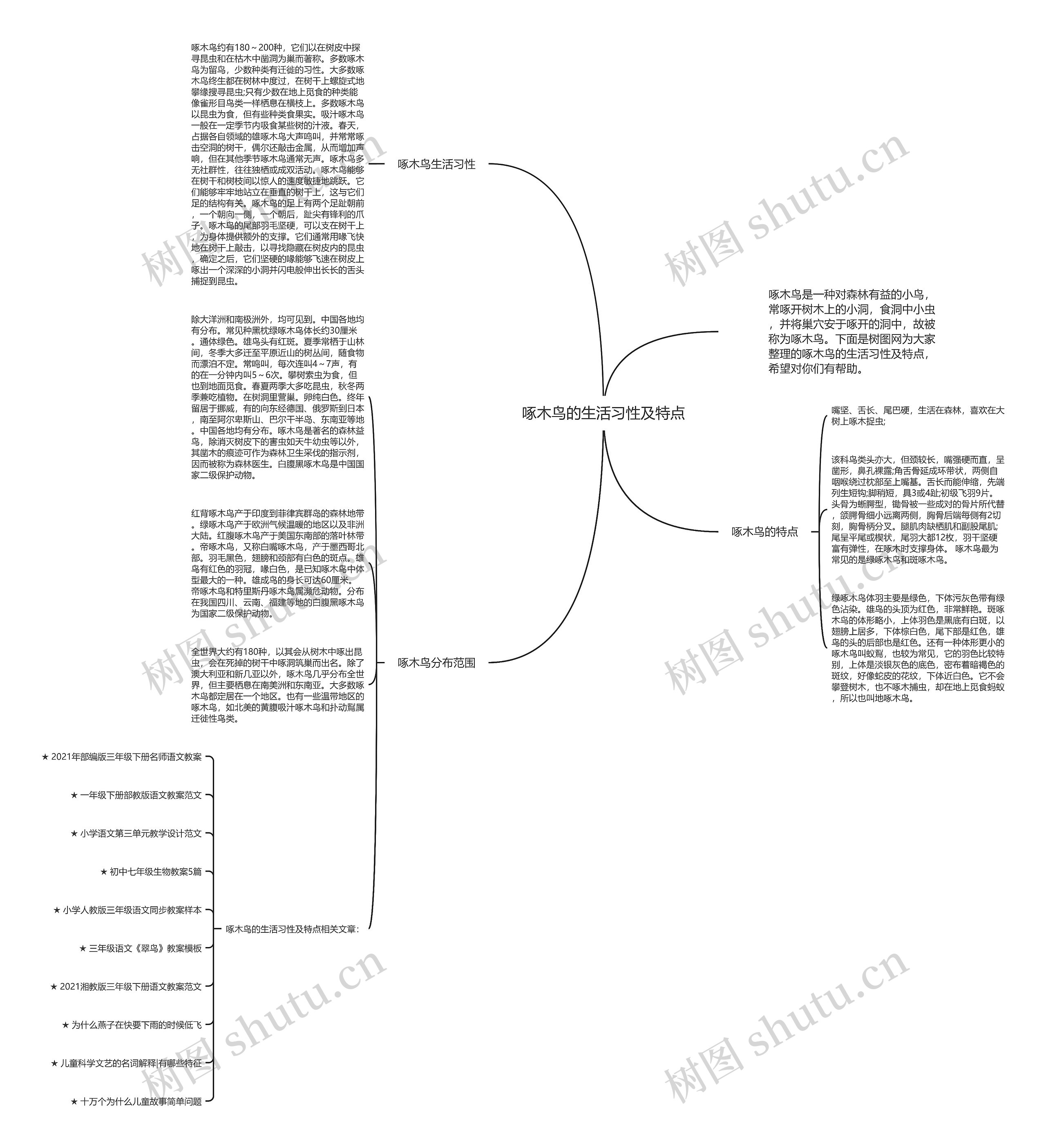 啄木鸟的生活习性及特点思维导图