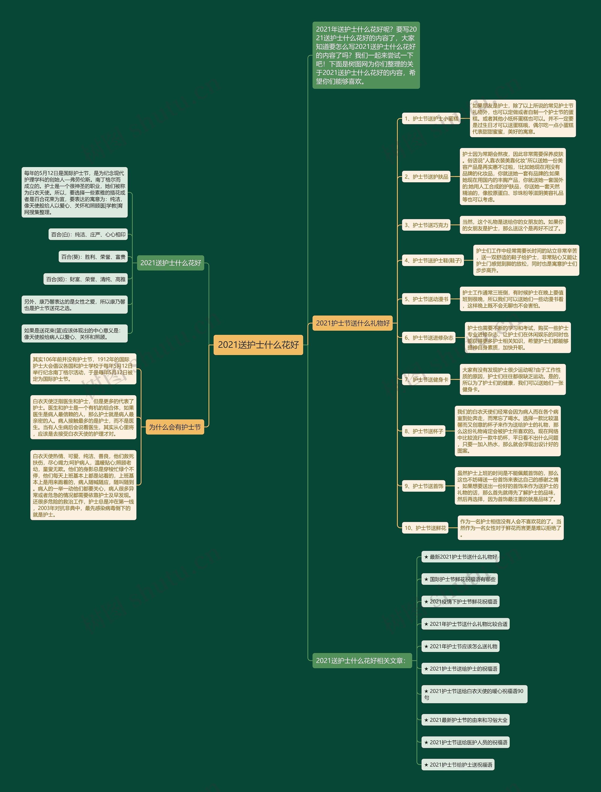 2021送护士什么花好思维导图