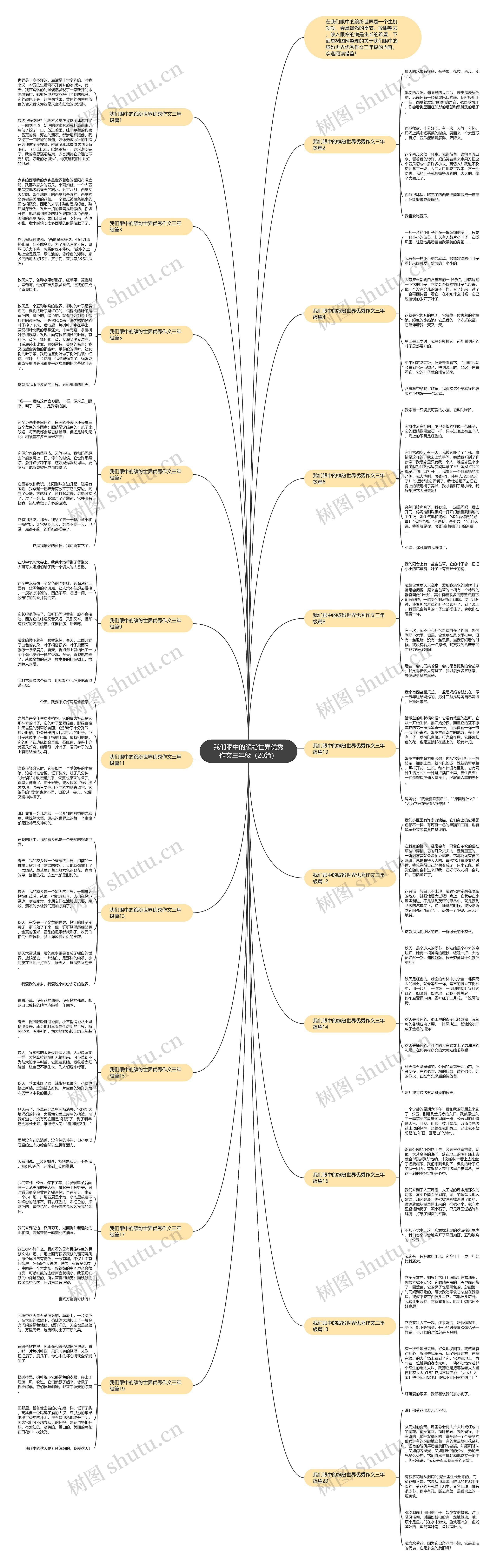 我们眼中的缤纷世界优秀作文三年级（20篇）思维导图