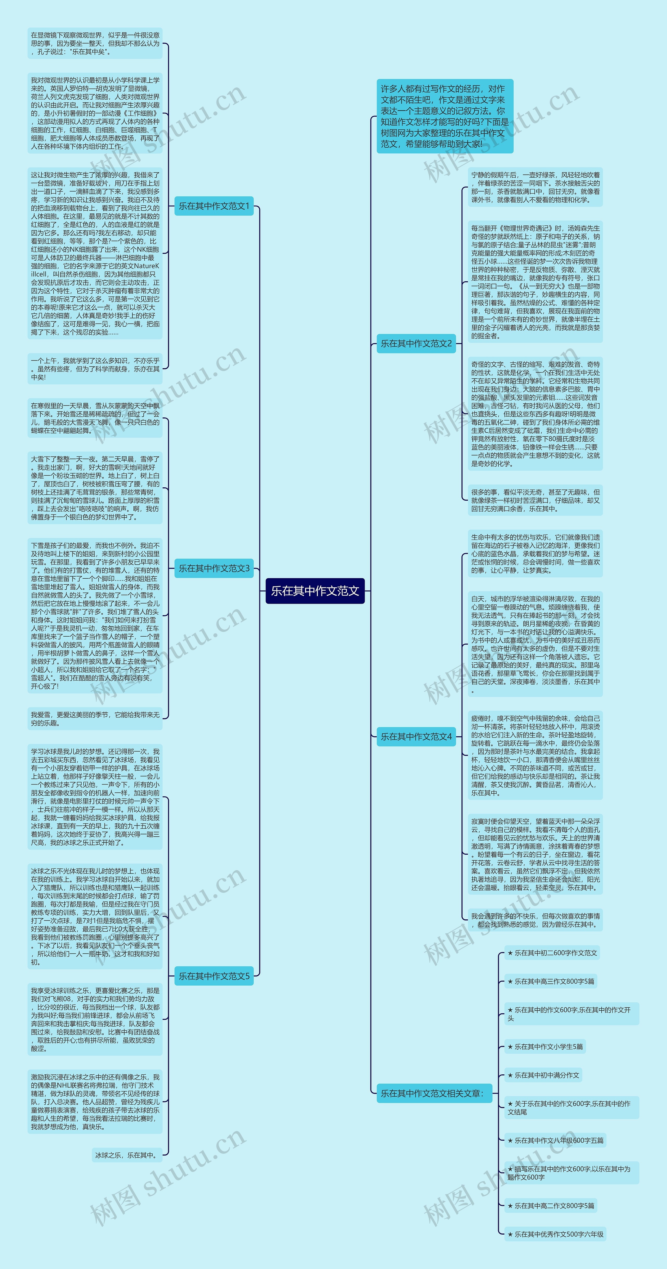乐在其中作文范文思维导图