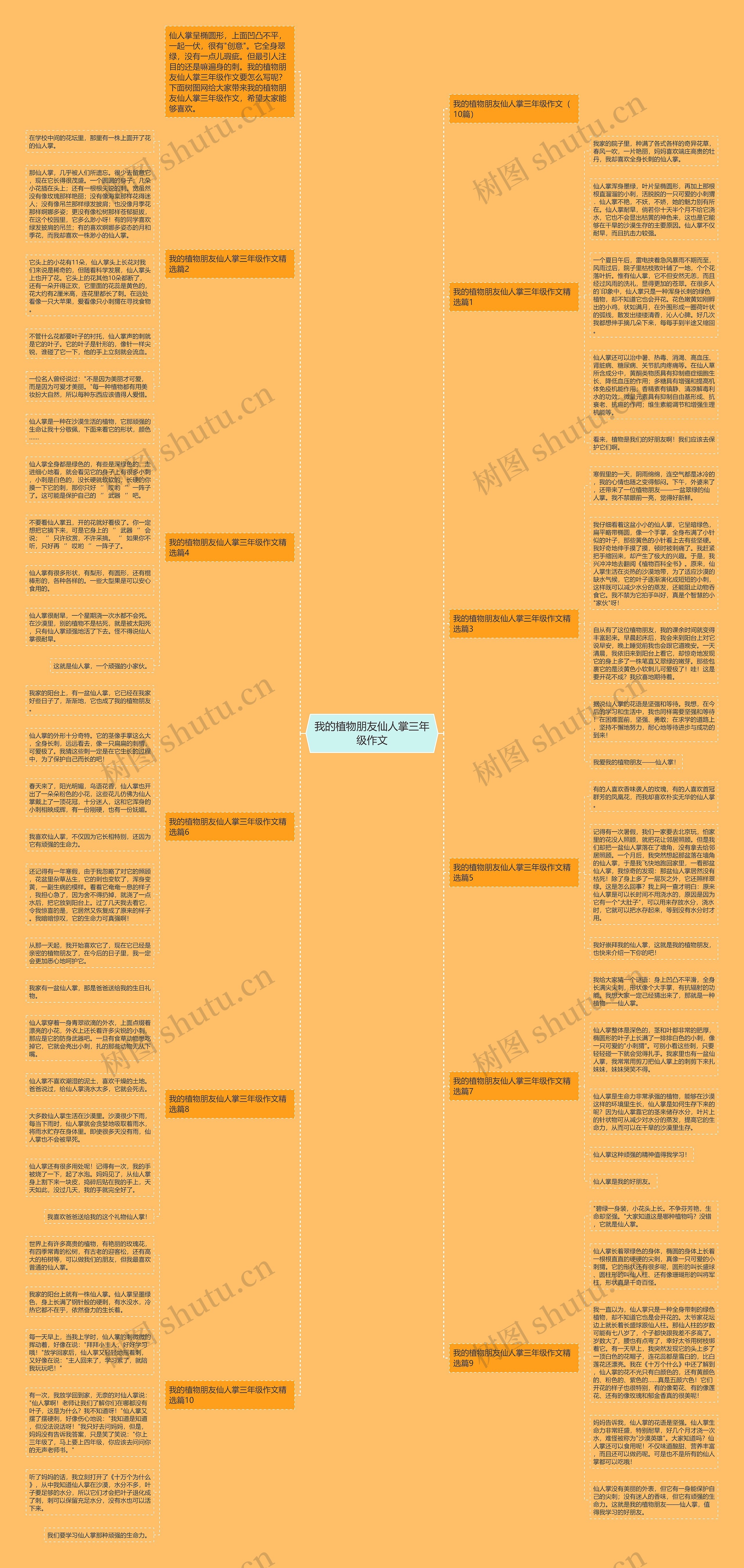 我的植物朋友仙人掌三年级作文思维导图