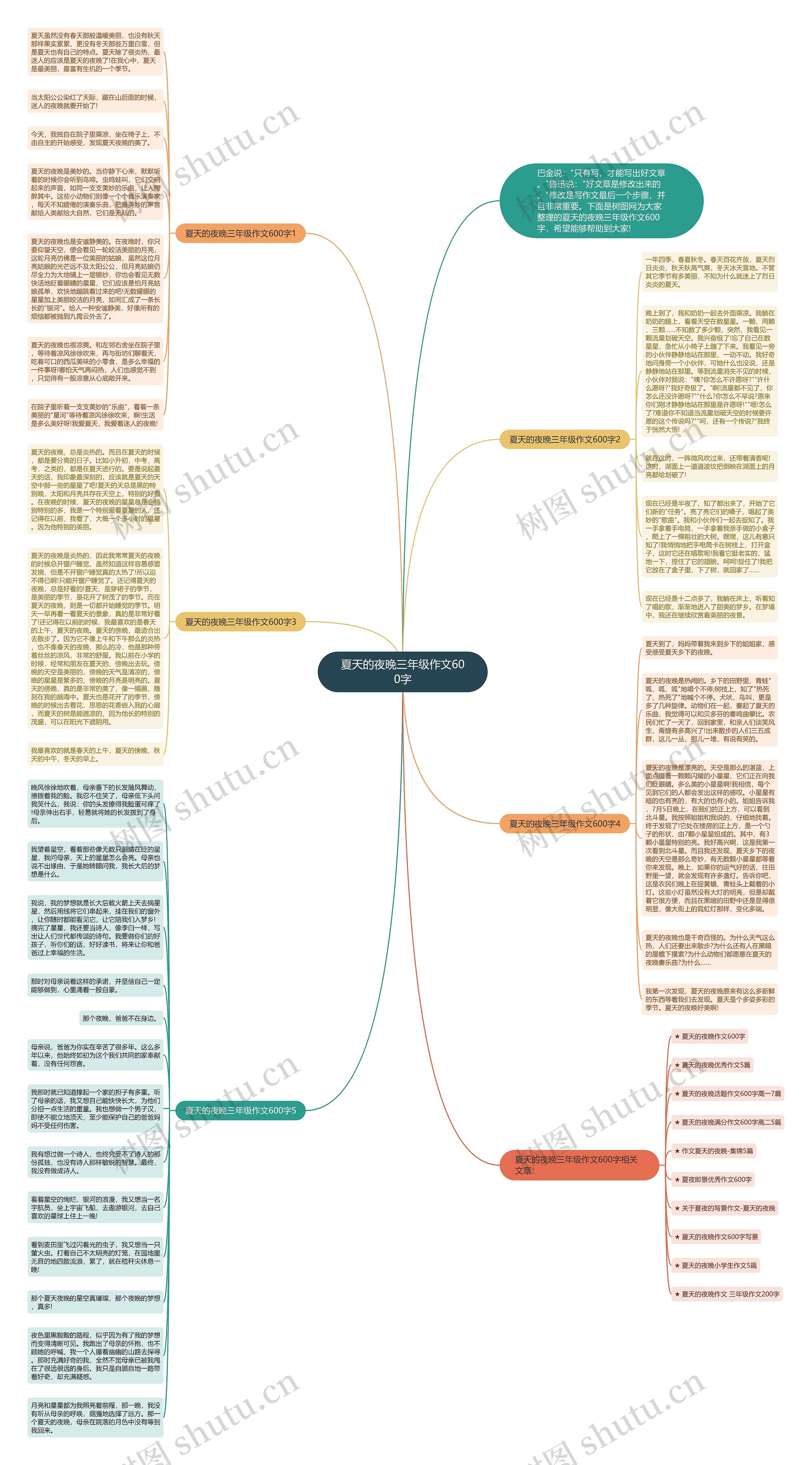 夏天的夜晚三年级作文600字思维导图