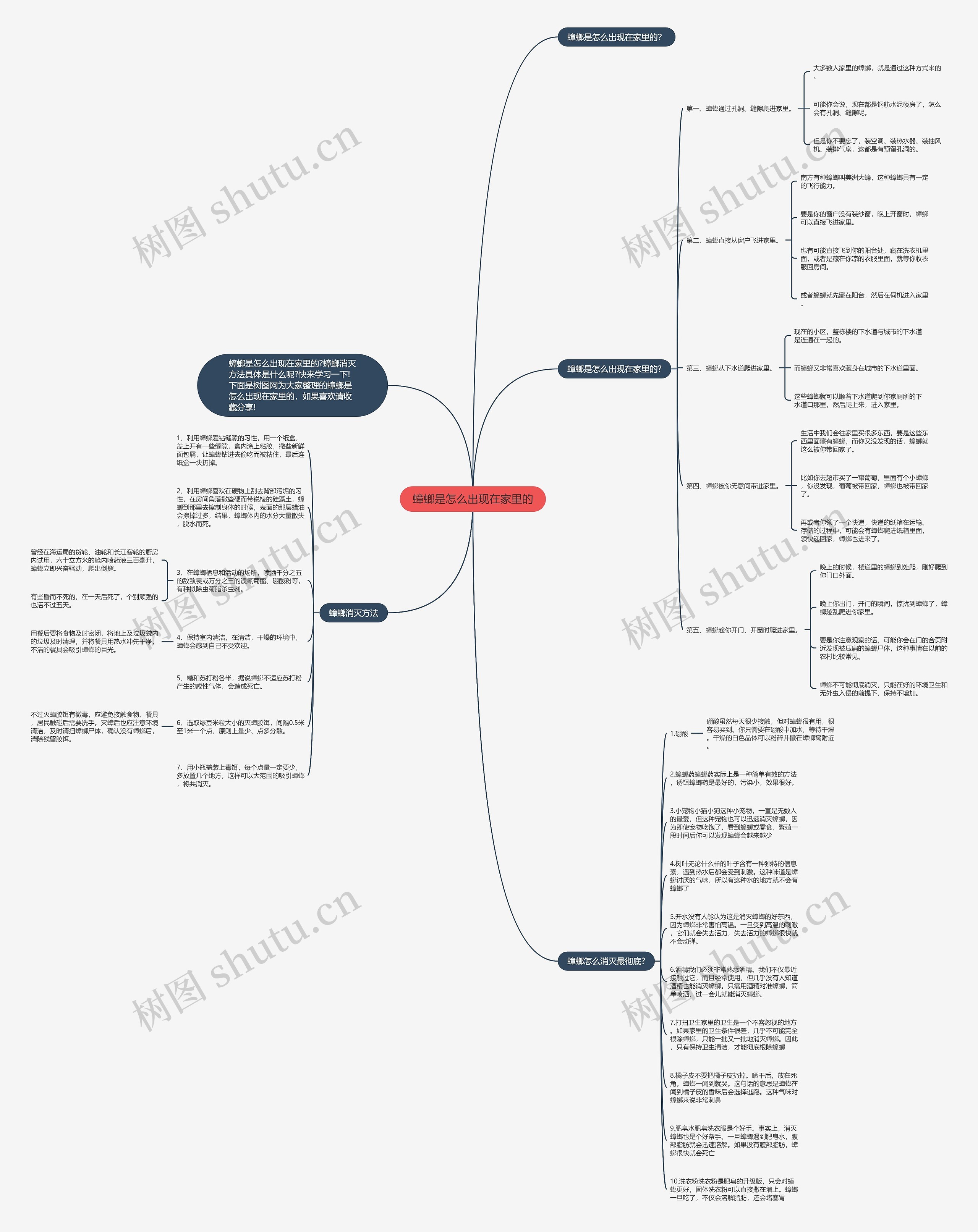 蟑螂是怎么出现在家里的思维导图