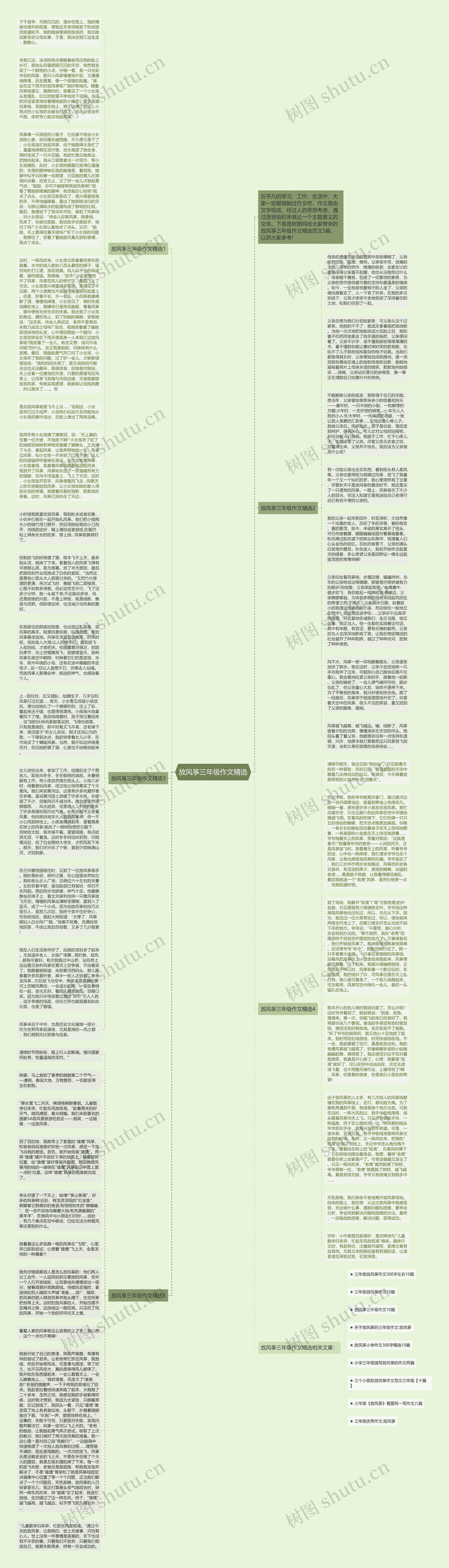 放风筝三年级作文精选思维导图