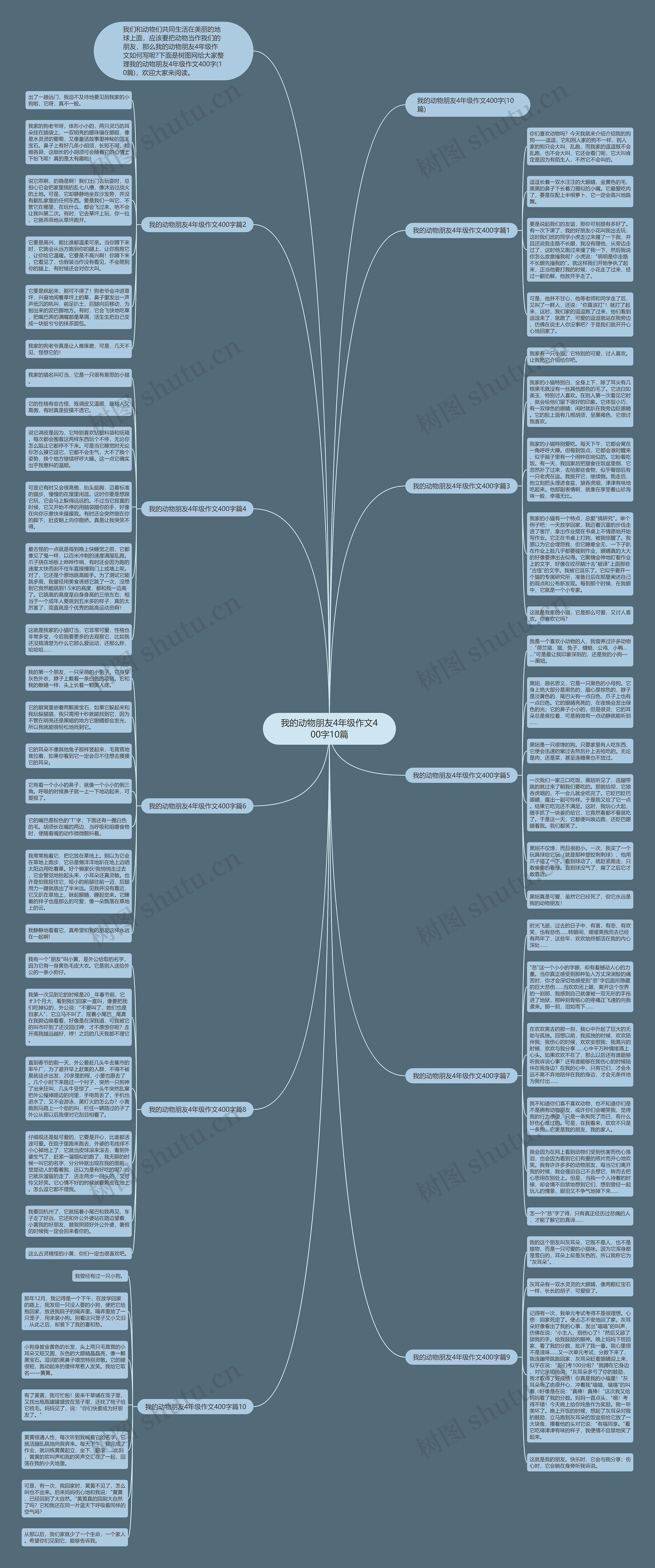 我的动物朋友4年级作文400字10篇思维导图