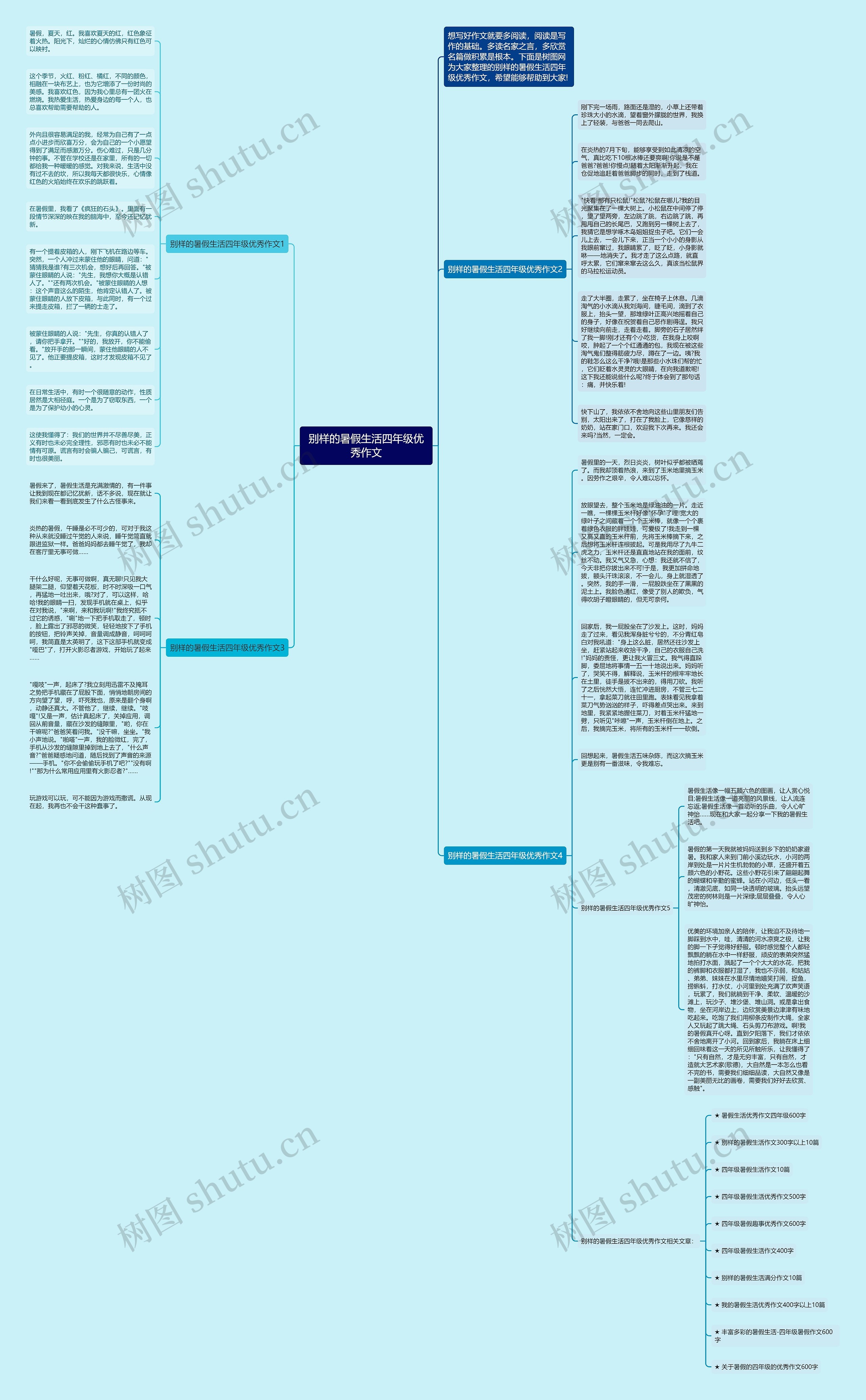 别样的暑假生活四年级优秀作文思维导图