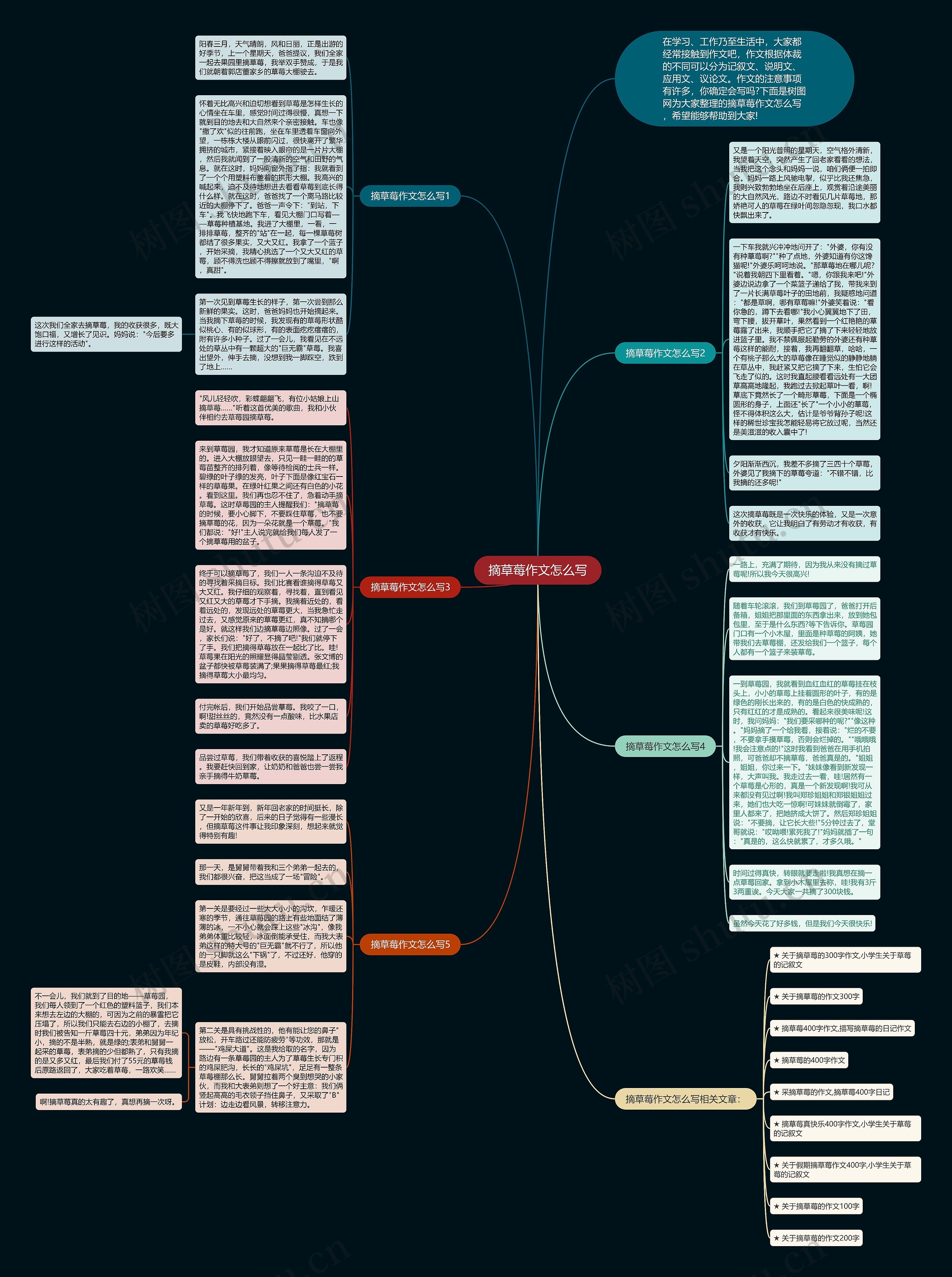 摘草莓作文怎么写思维导图