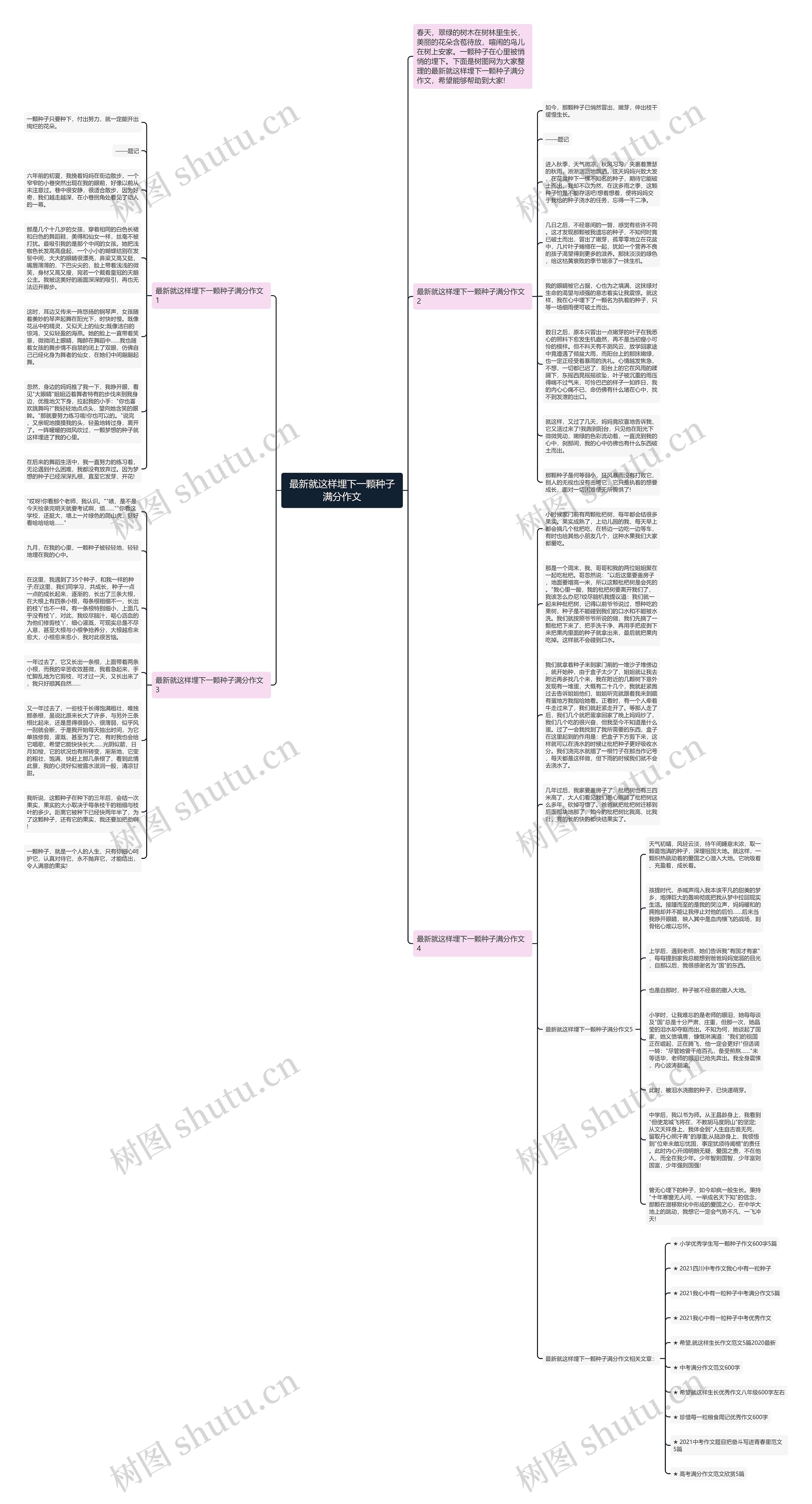 最新就这样埋下一颗种子满分作文思维导图