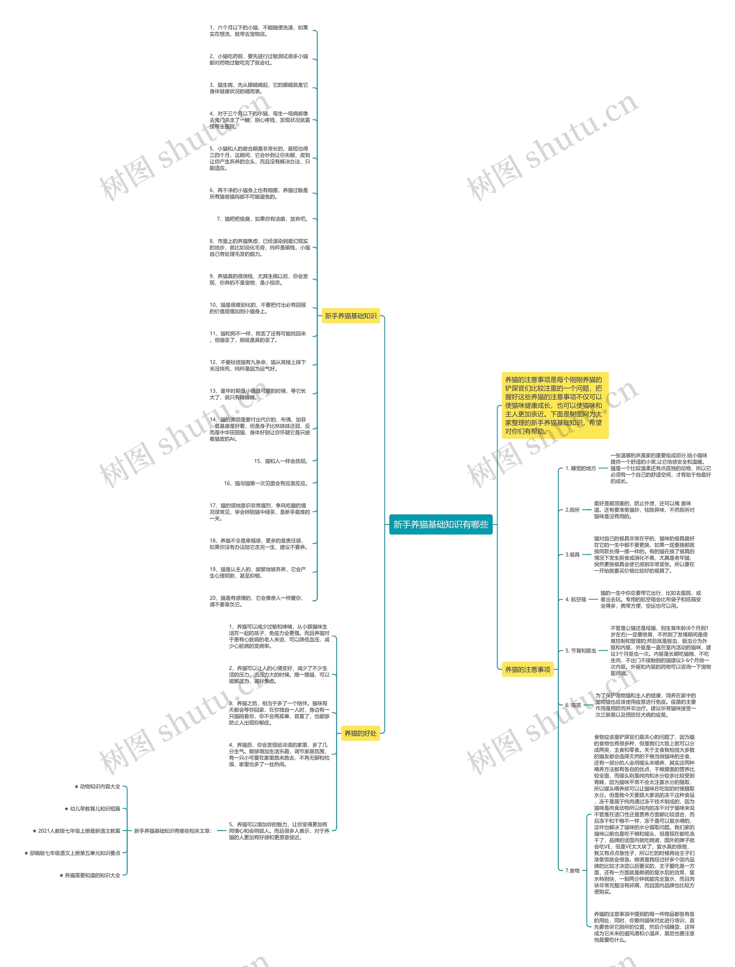 新手养猫基础知识有哪些思维导图