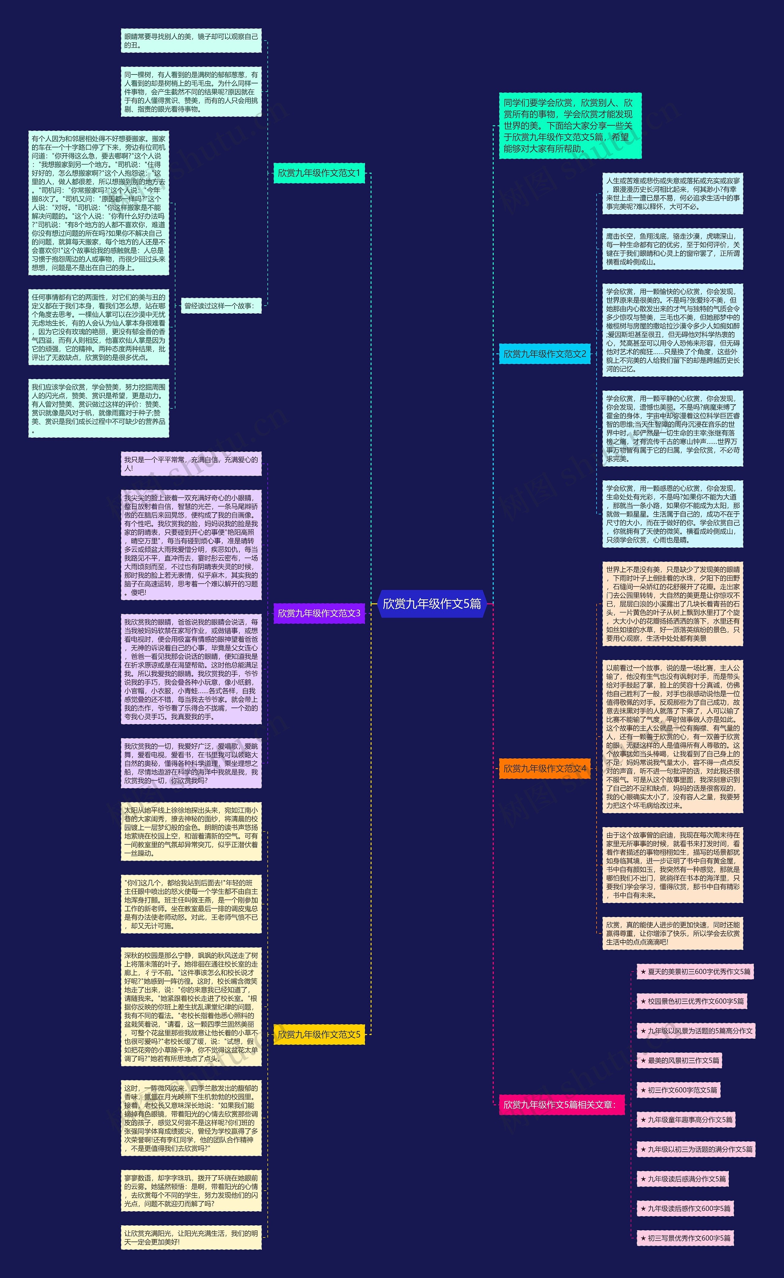 欣赏九年级作文5篇思维导图