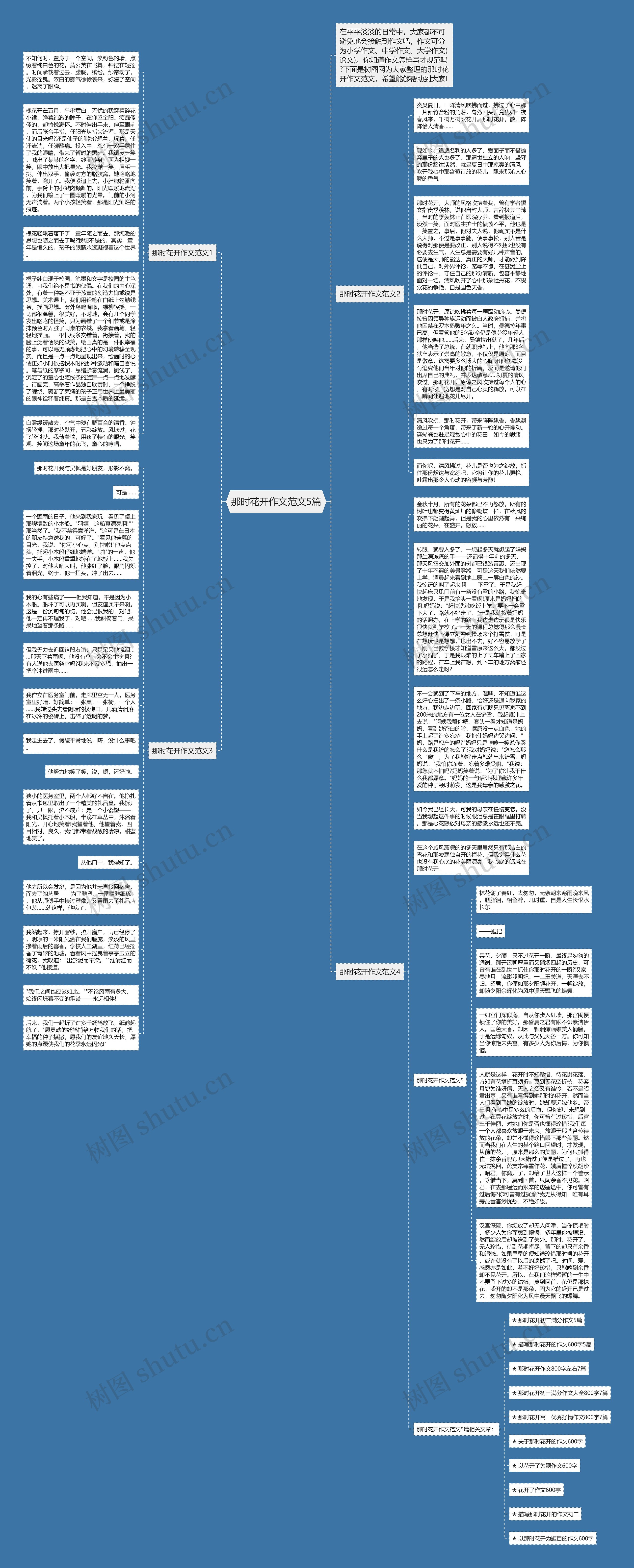 那时花开作文范文5篇思维导图