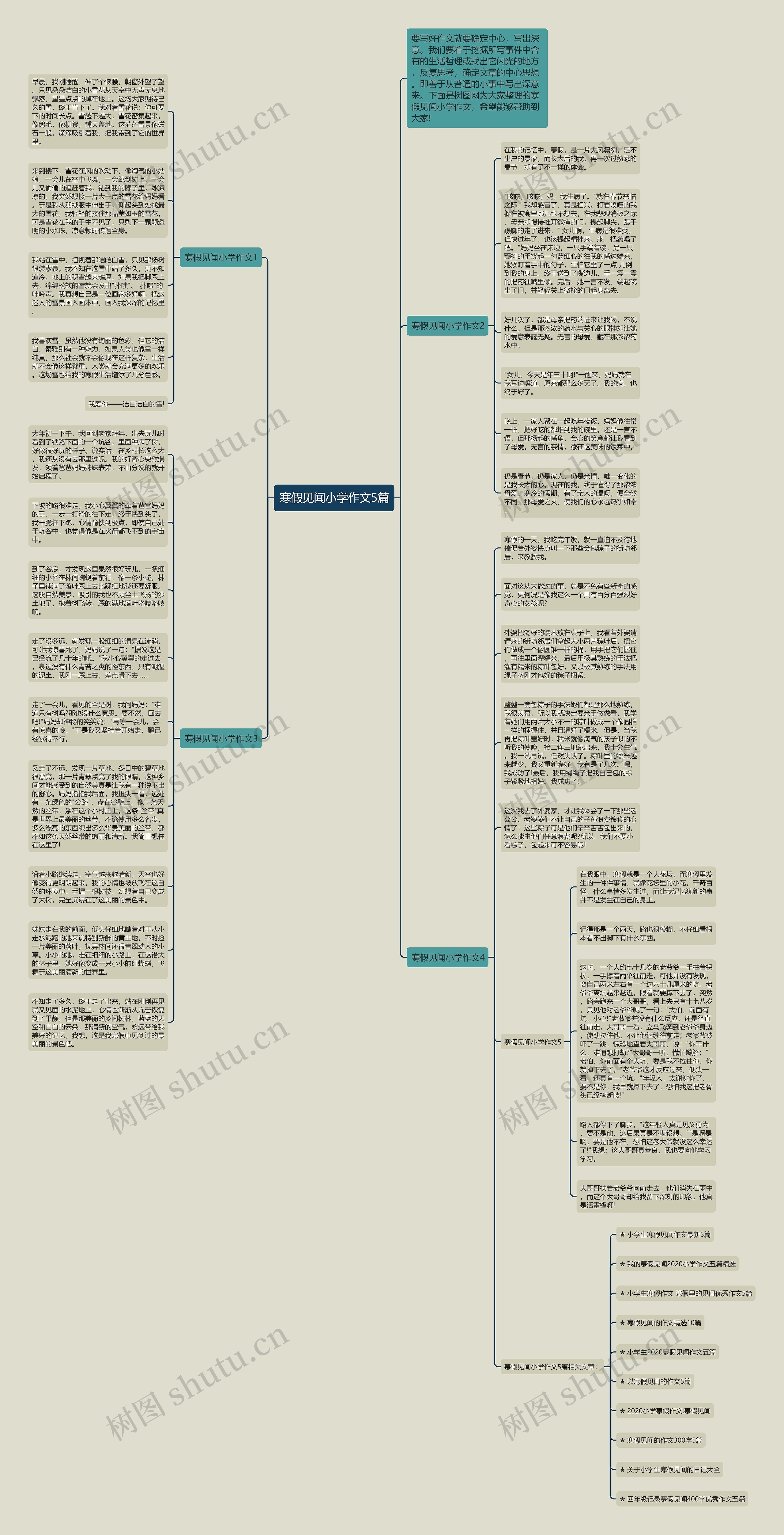 寒假见闻小学作文5篇思维导图