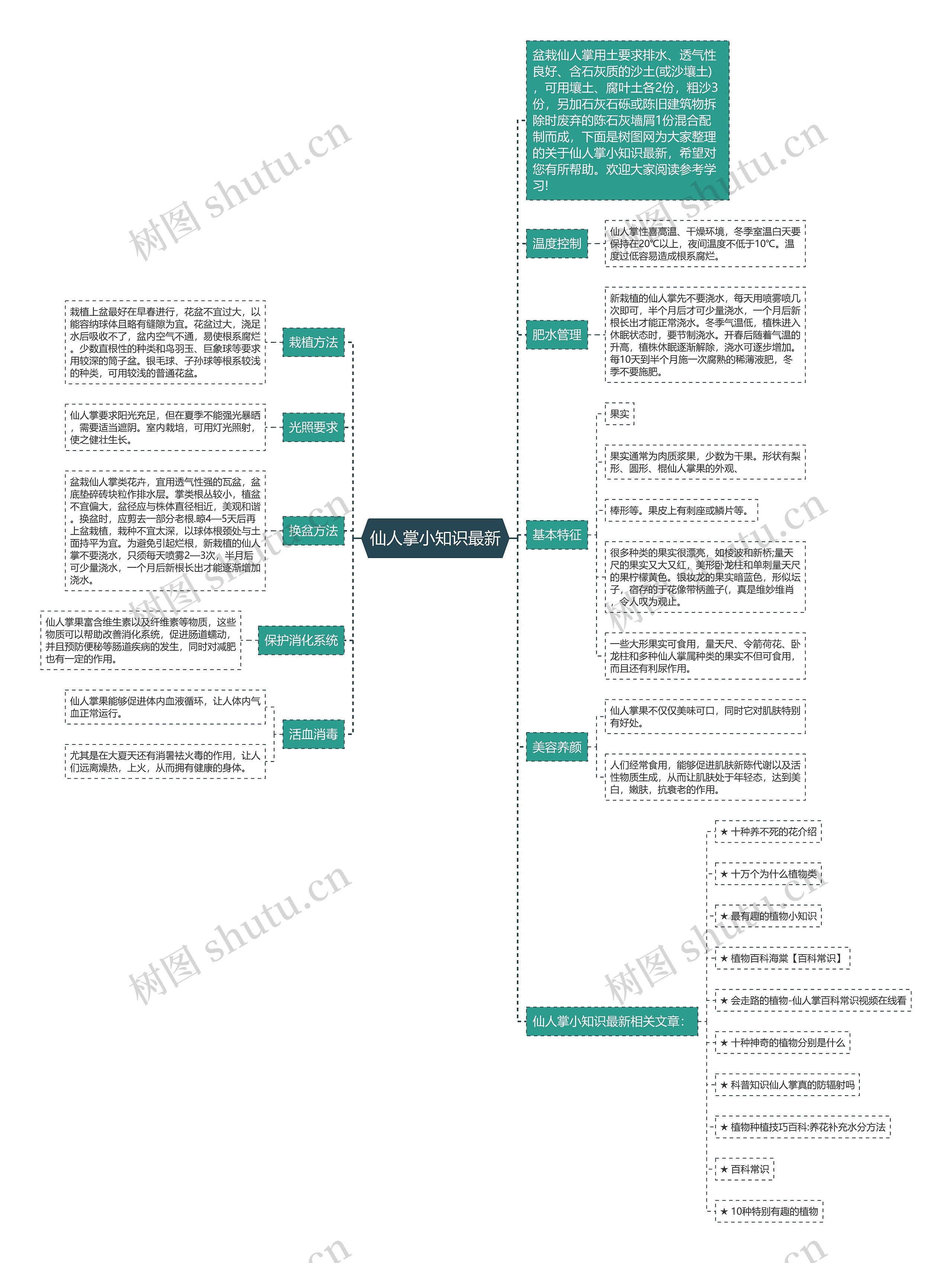 仙人掌小知识最新思维导图