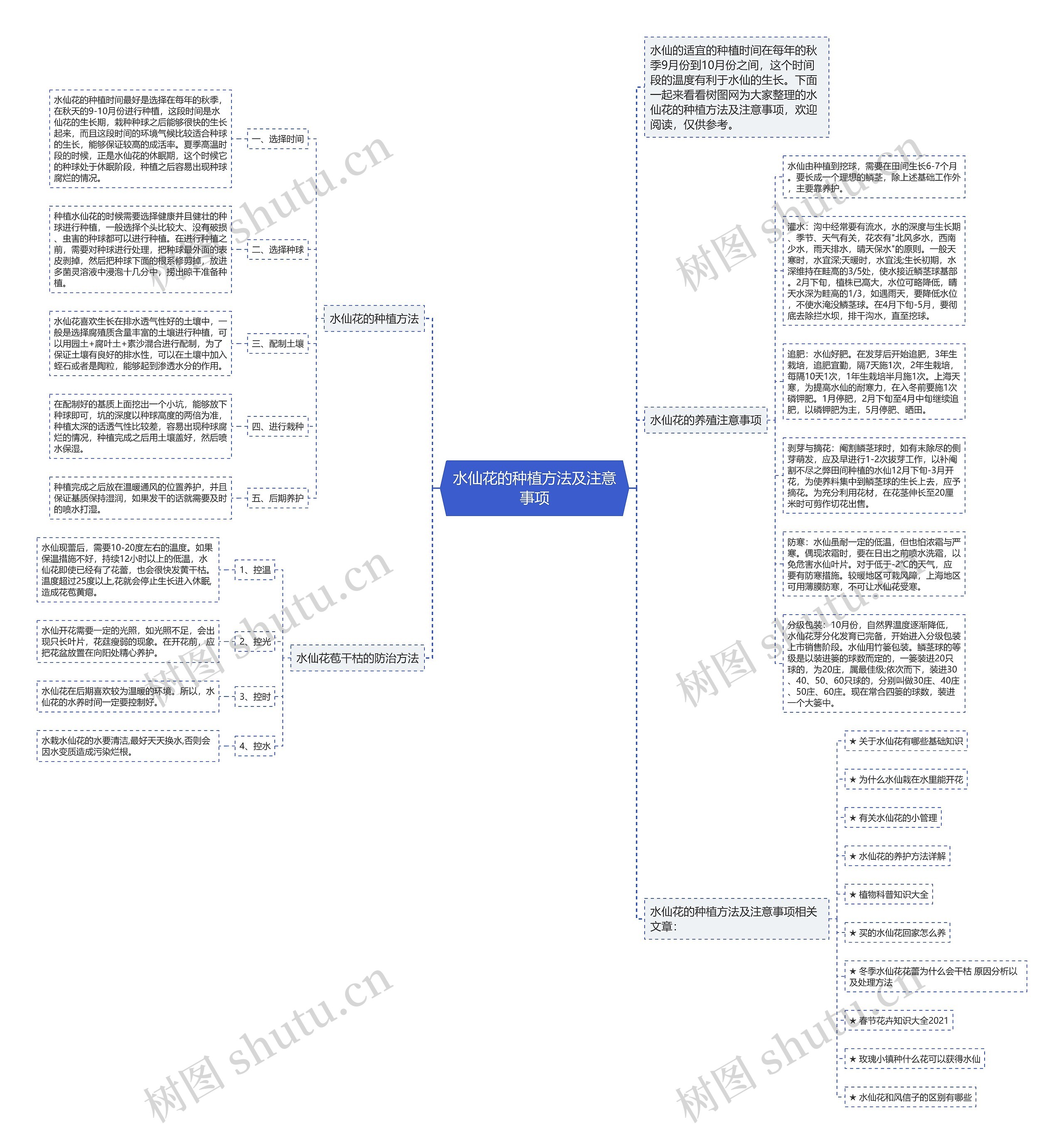 水仙花的种植方法及注意事项思维导图