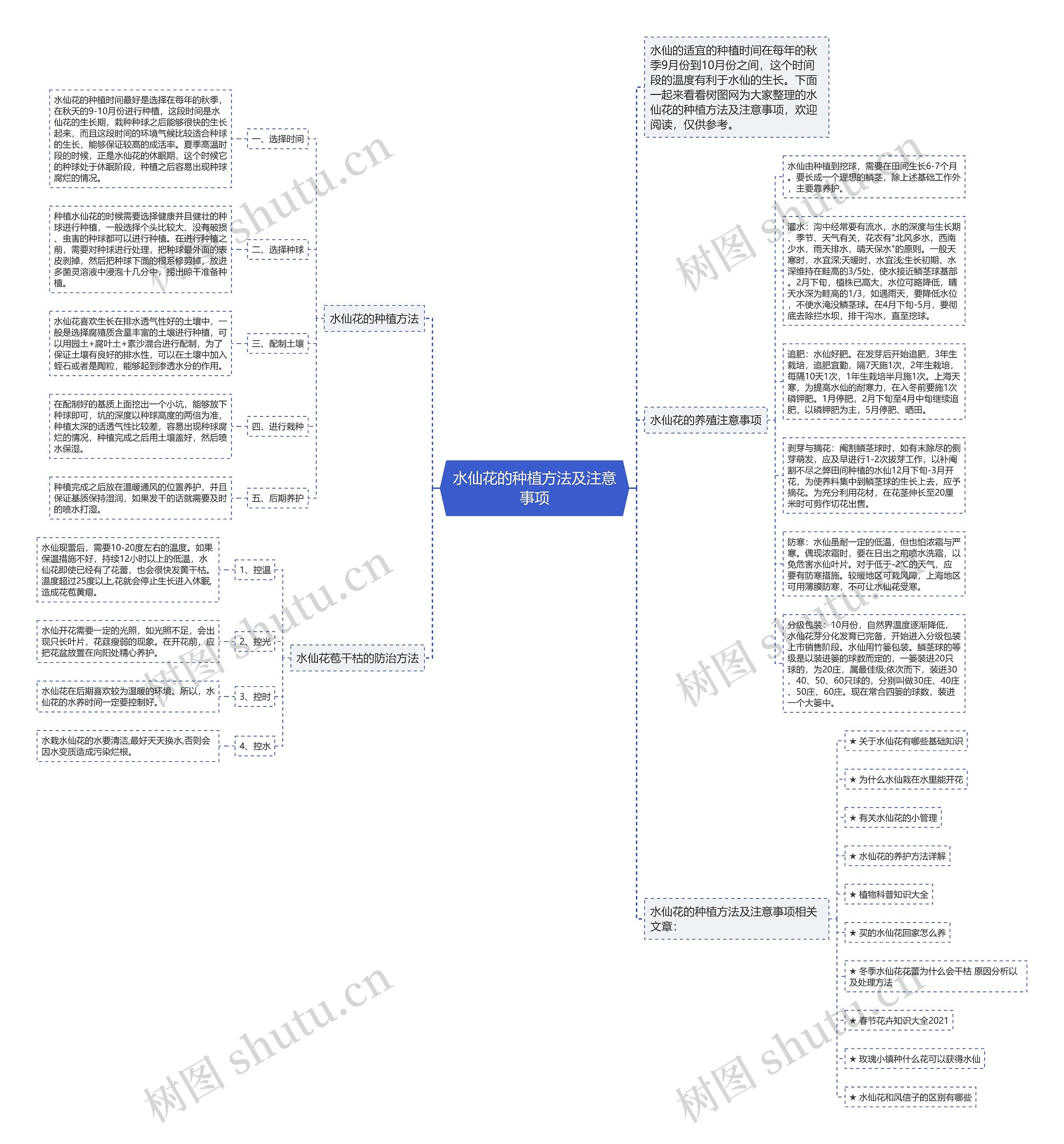 水仙花的种植方法及注意事项思维导图高清图 水仙花的种植方法及注意事项思维导图