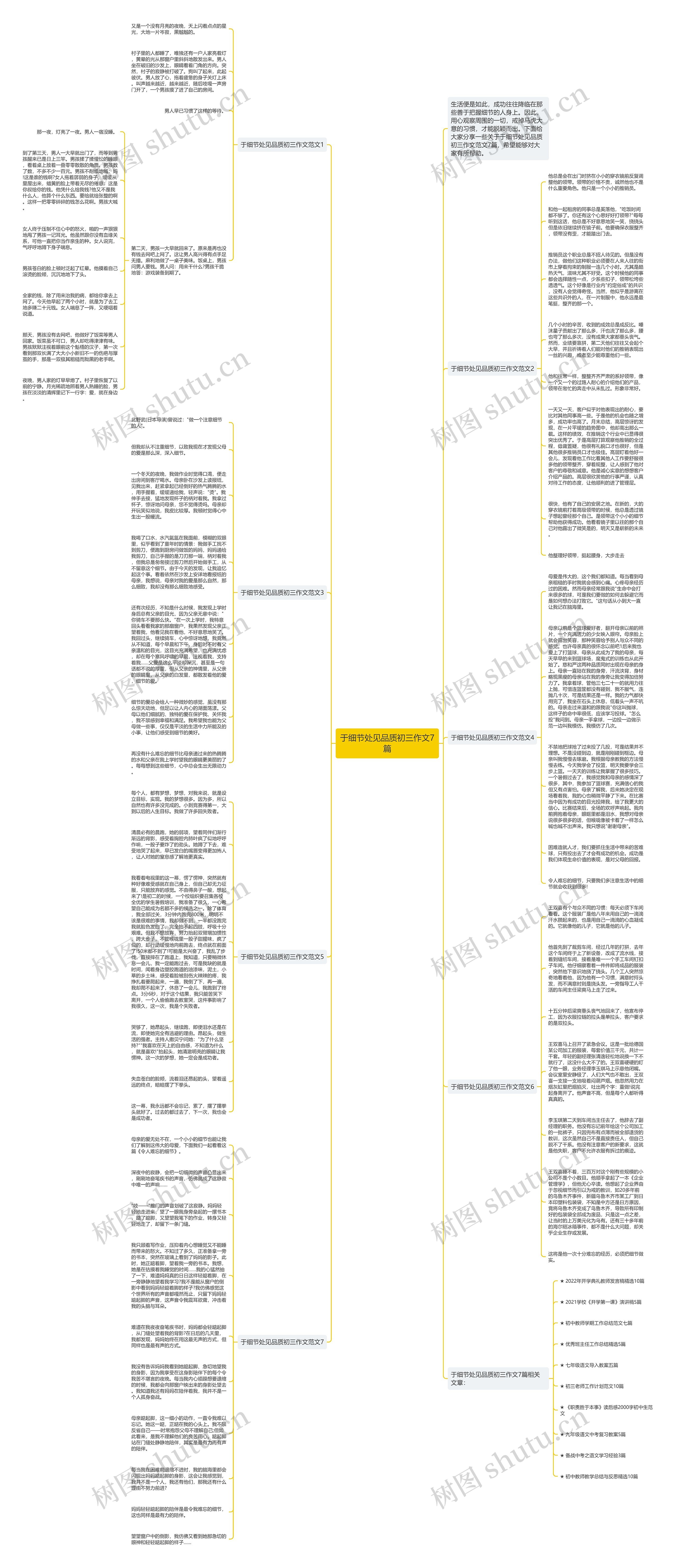 于细节处见品质初三作文7篇思维导图