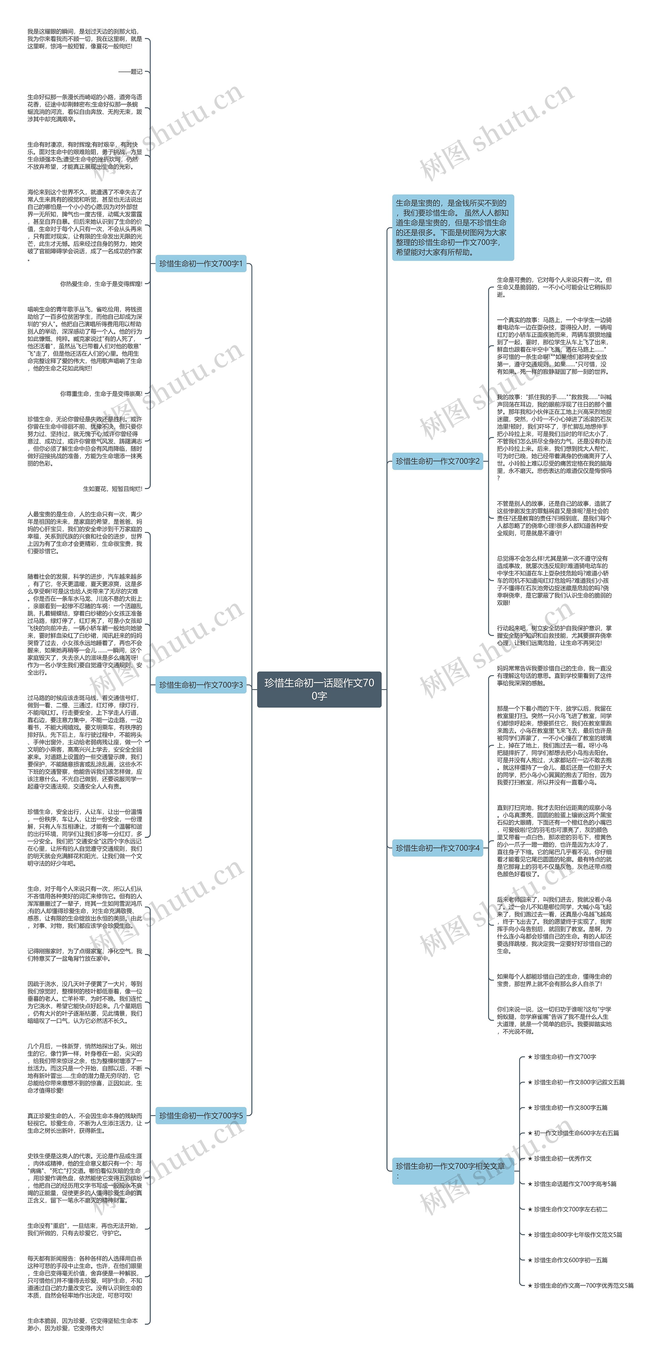珍惜生命初一话题作文700字思维导图