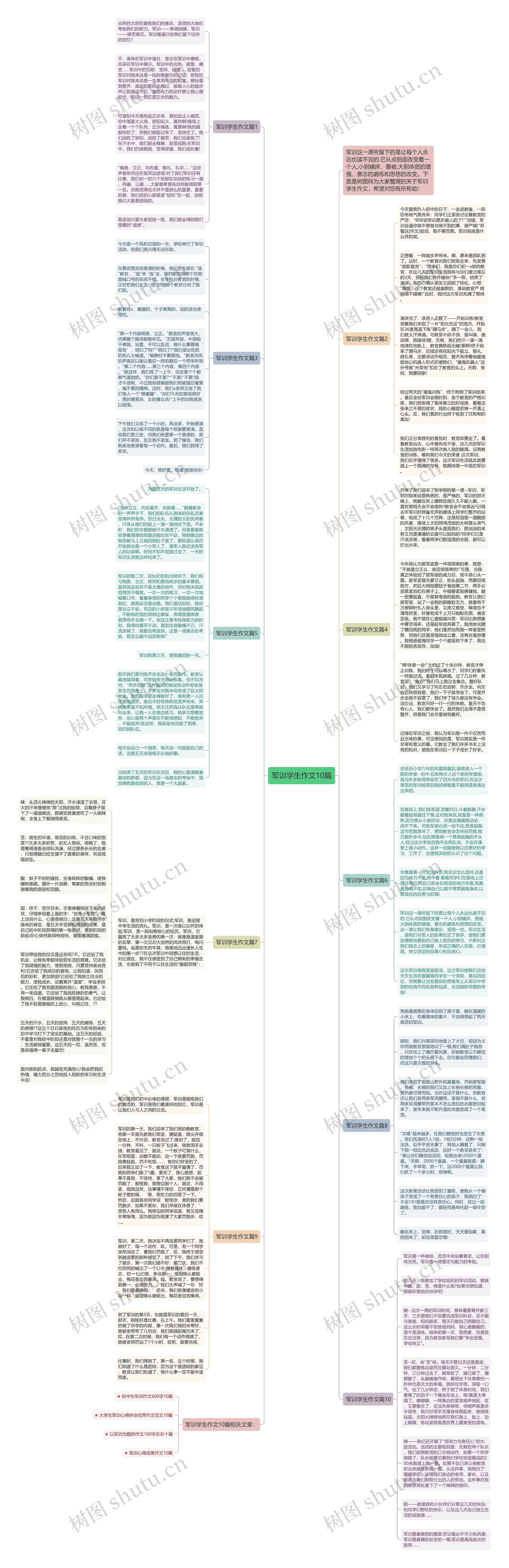 军训学生作文10篇