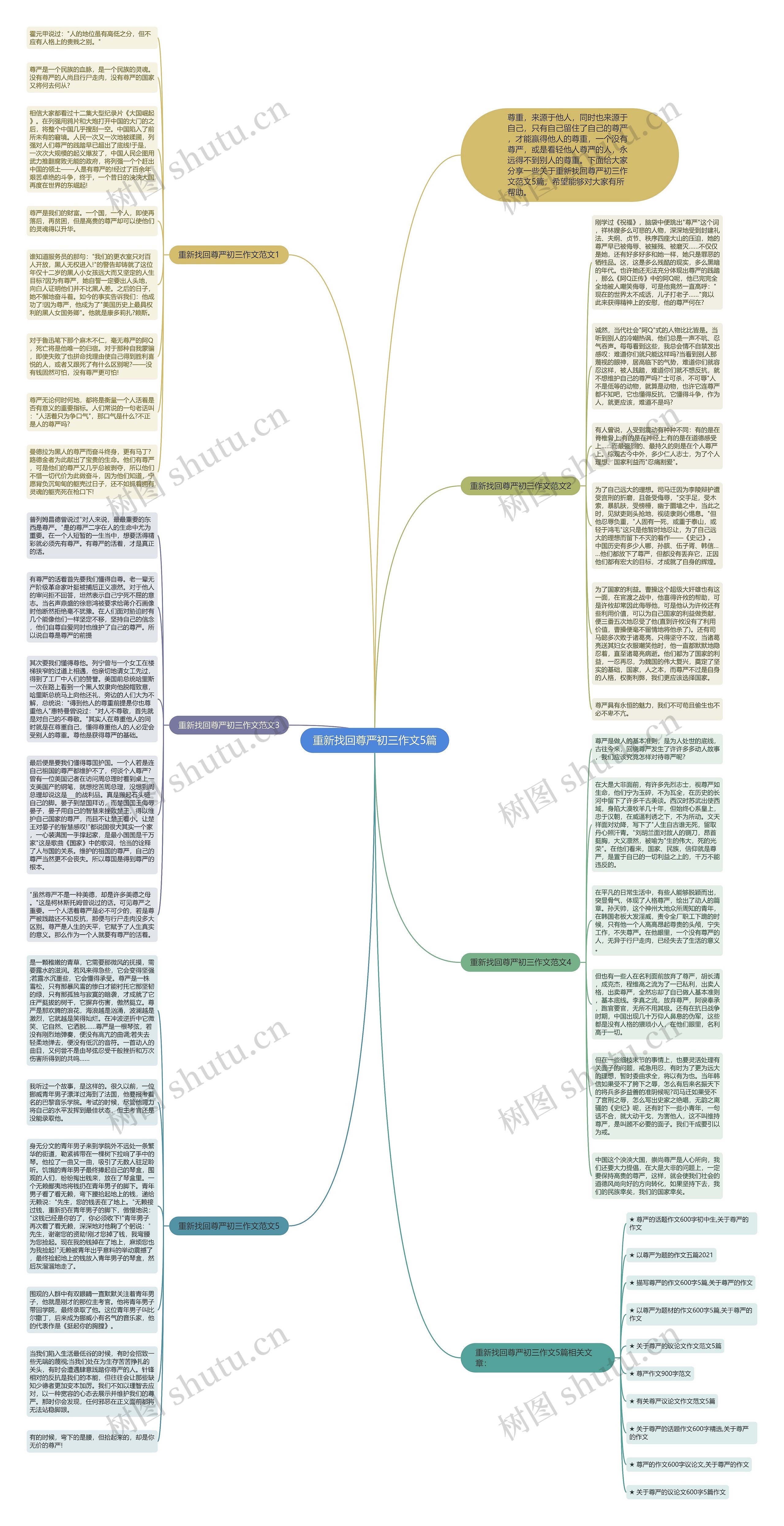 重新找回尊严初三作文5篇思维导图