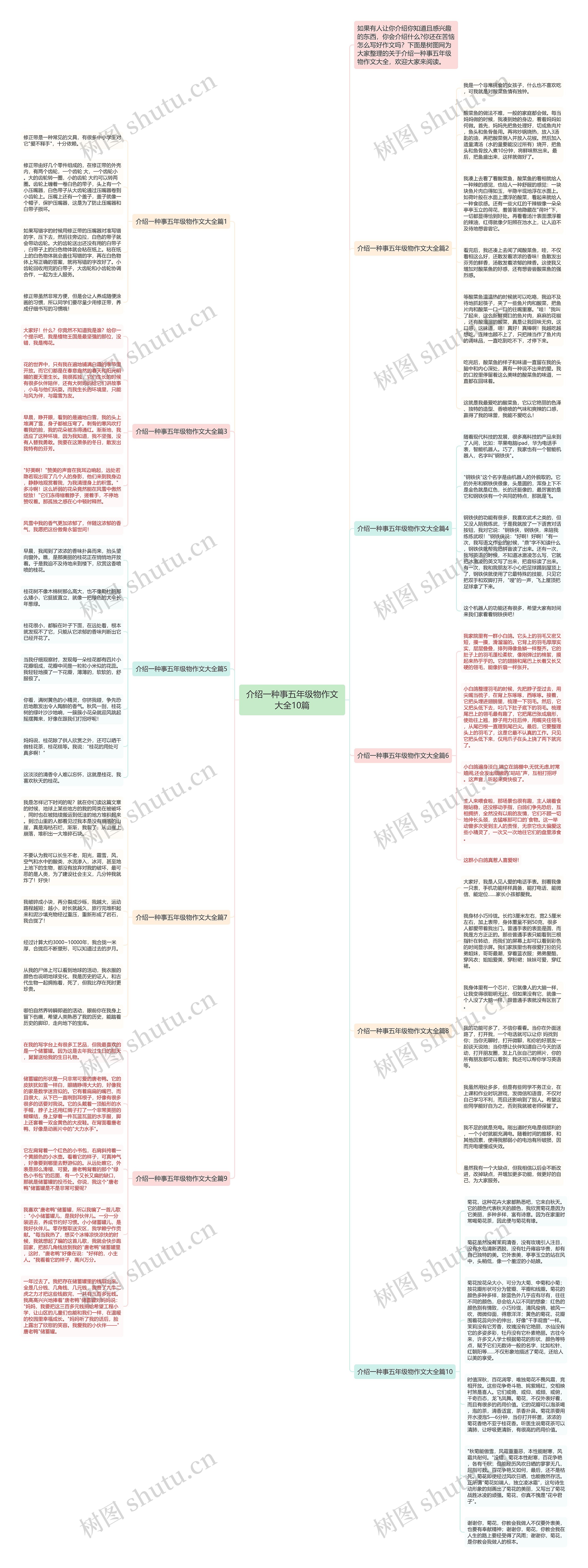 介绍一种事五年级物作文大全10篇思维导图