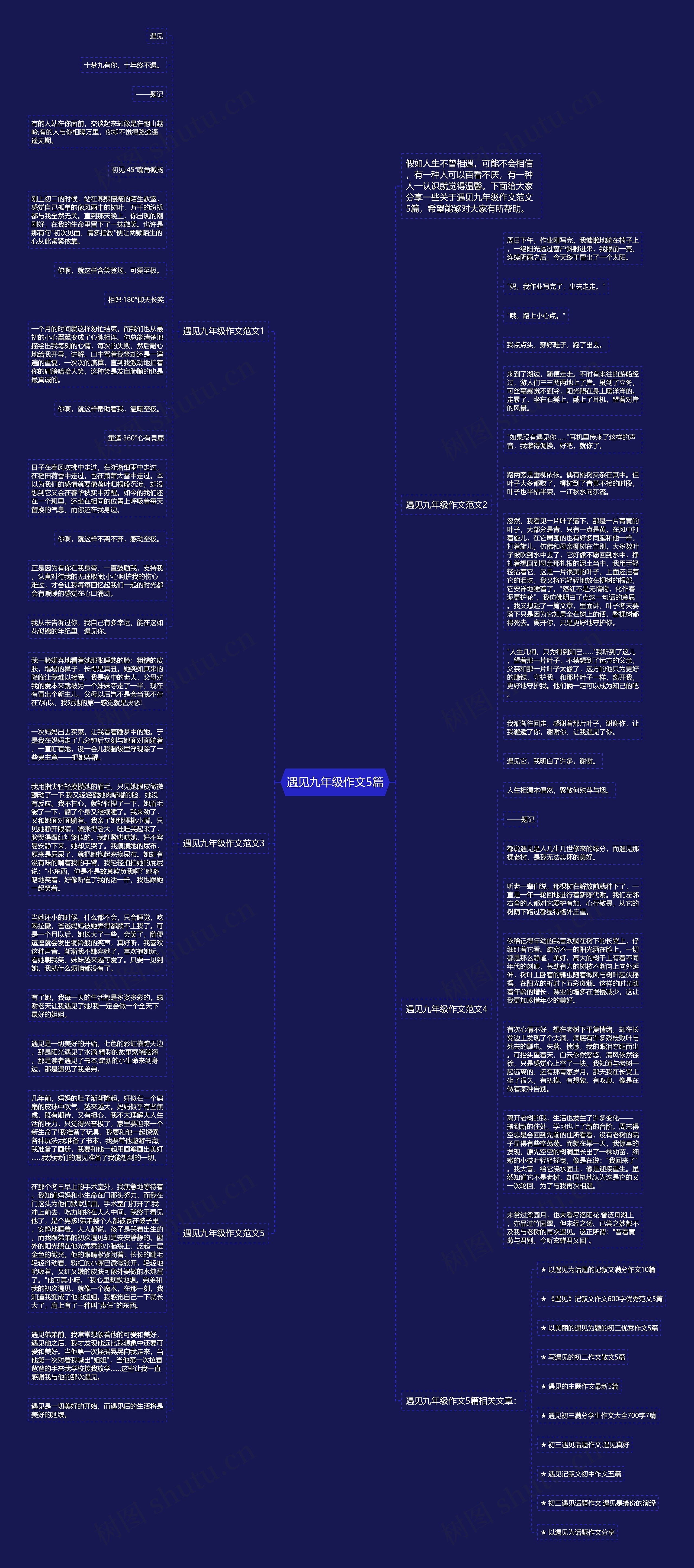 遇见九年级作文5篇思维导图