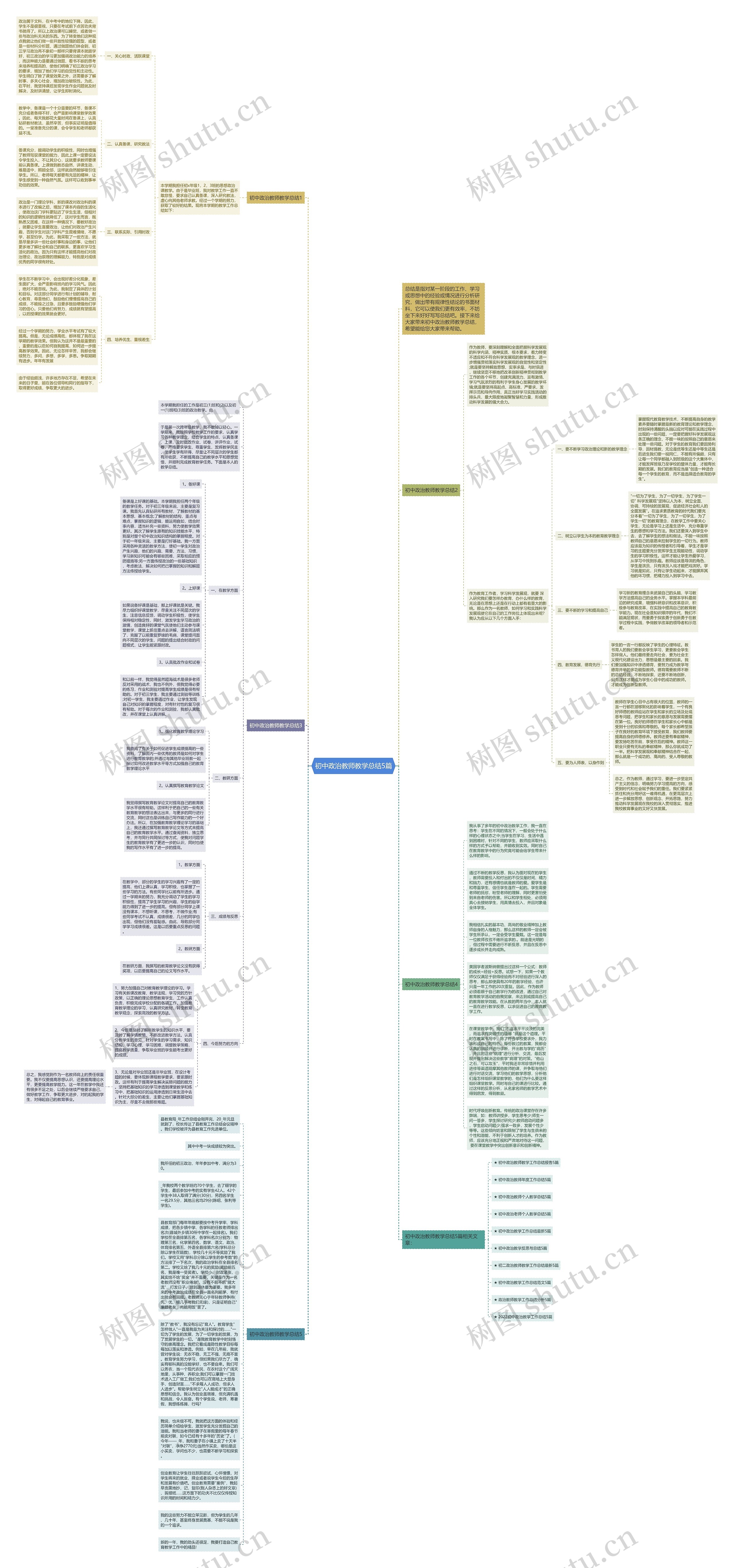 初中政治教师教学总结5篇思维导图