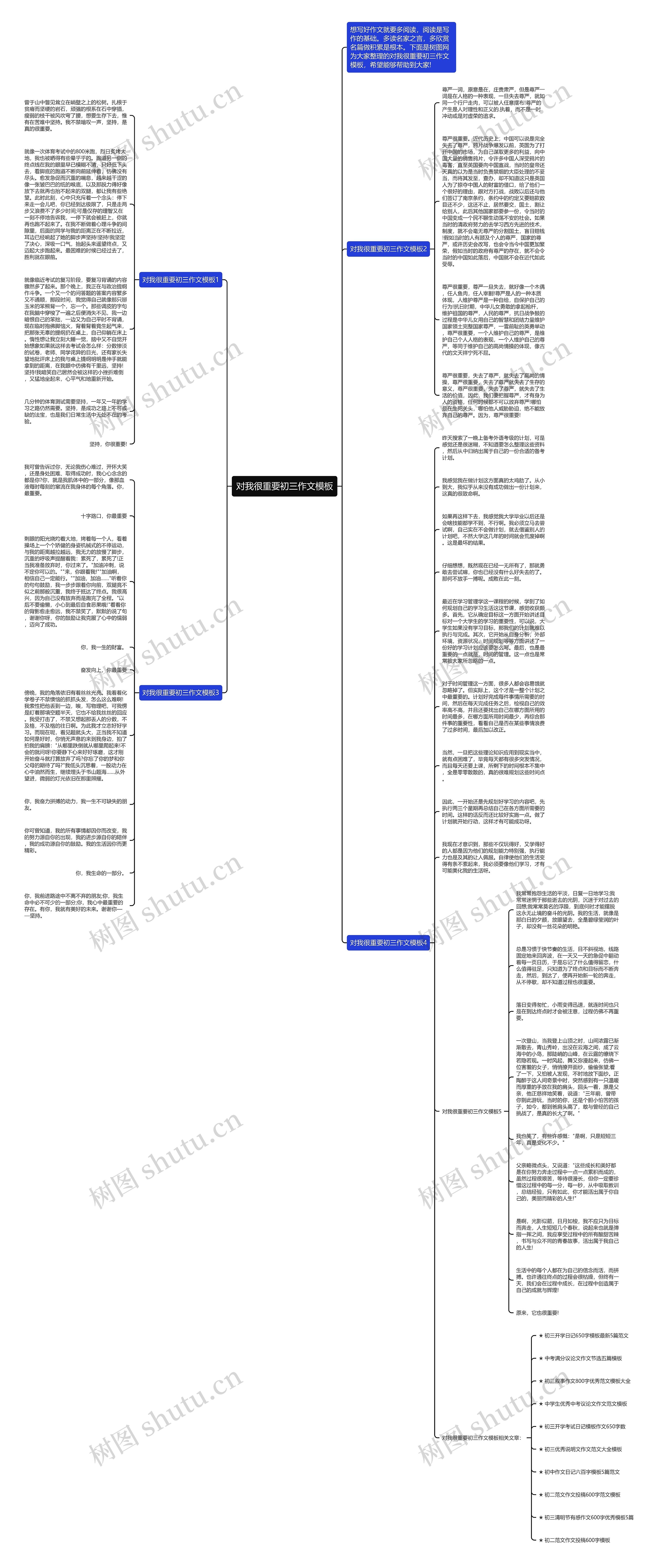 对我很重要初三作文思维导图