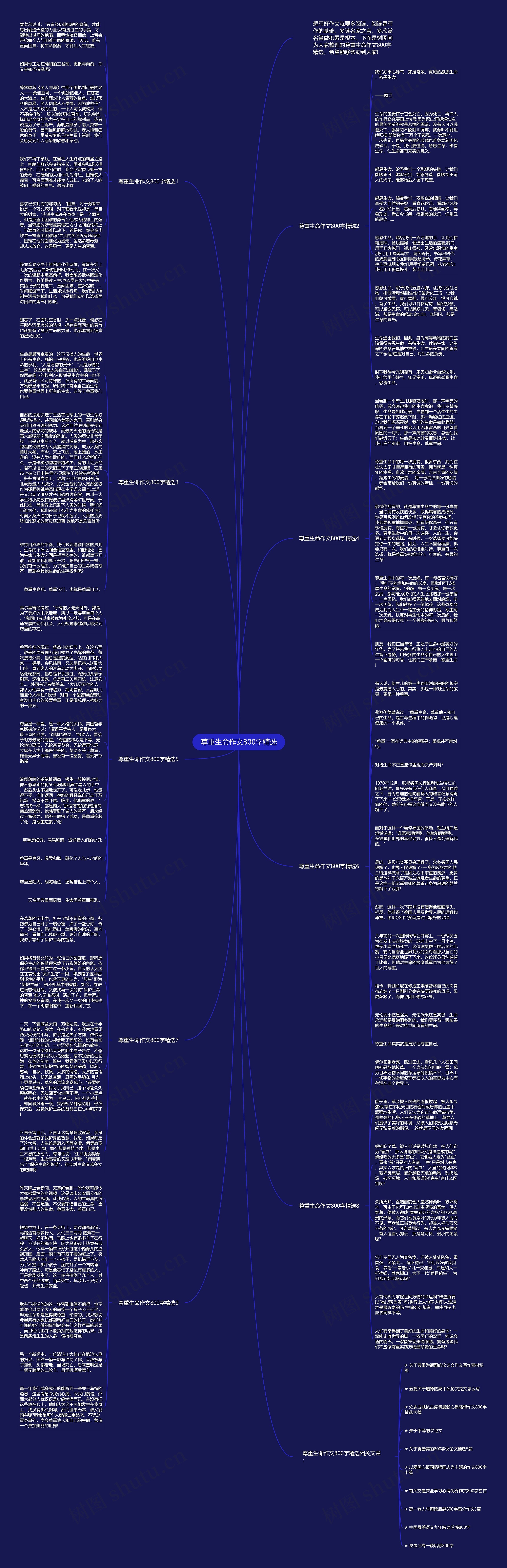 尊重生命作文800字精选思维导图