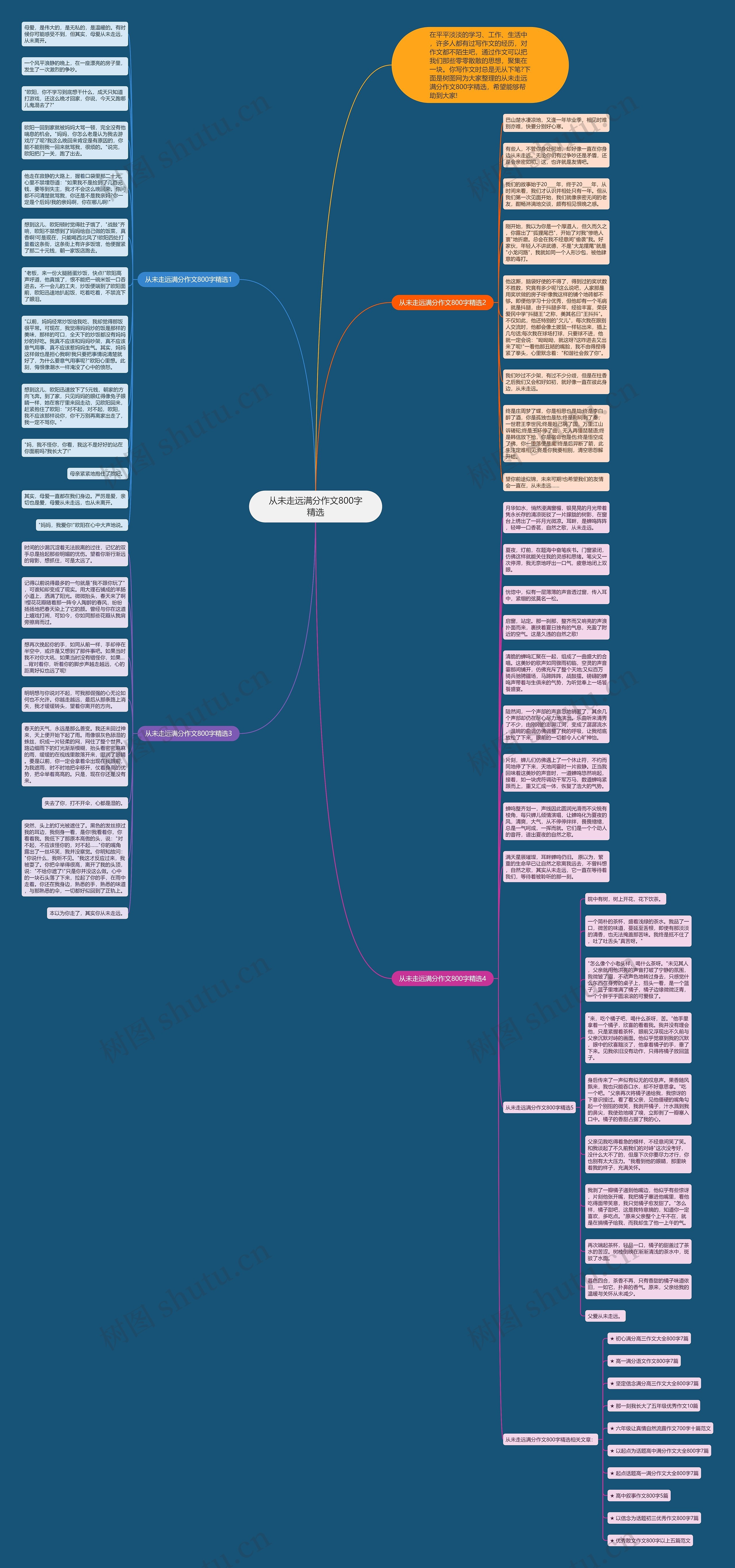 从未走远满分作文800字精选