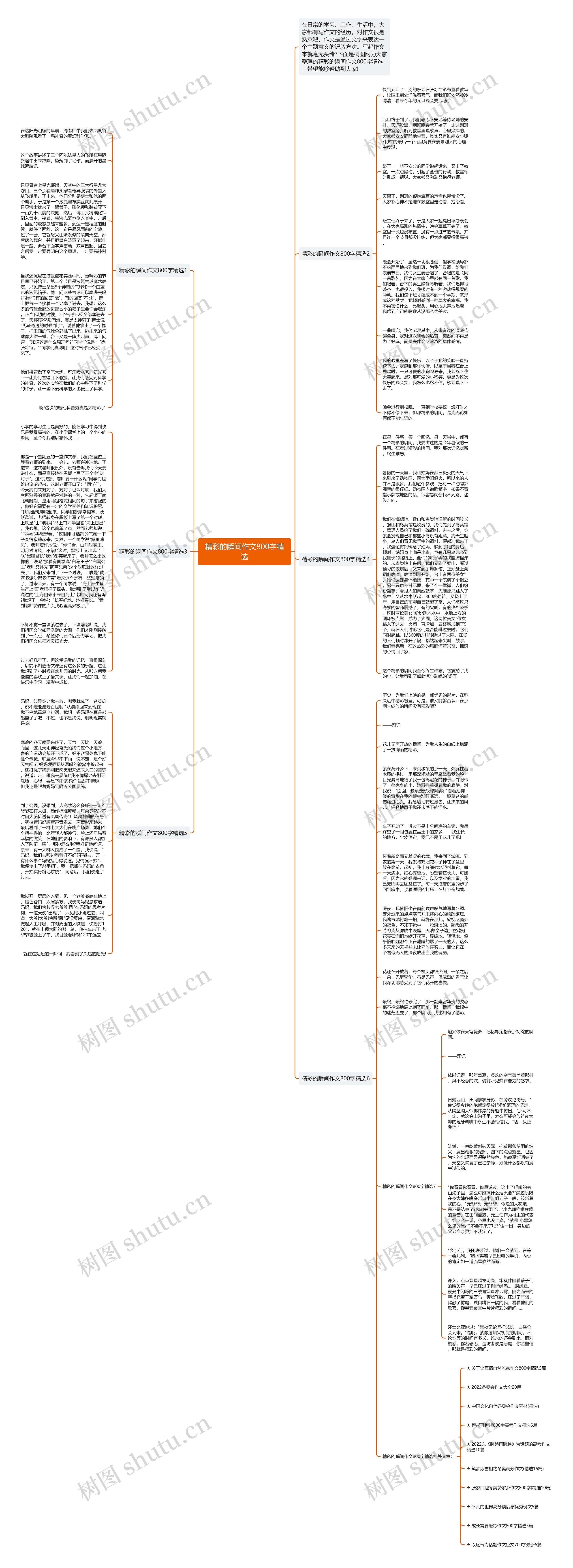 精彩的瞬间作文800字精选思维导图