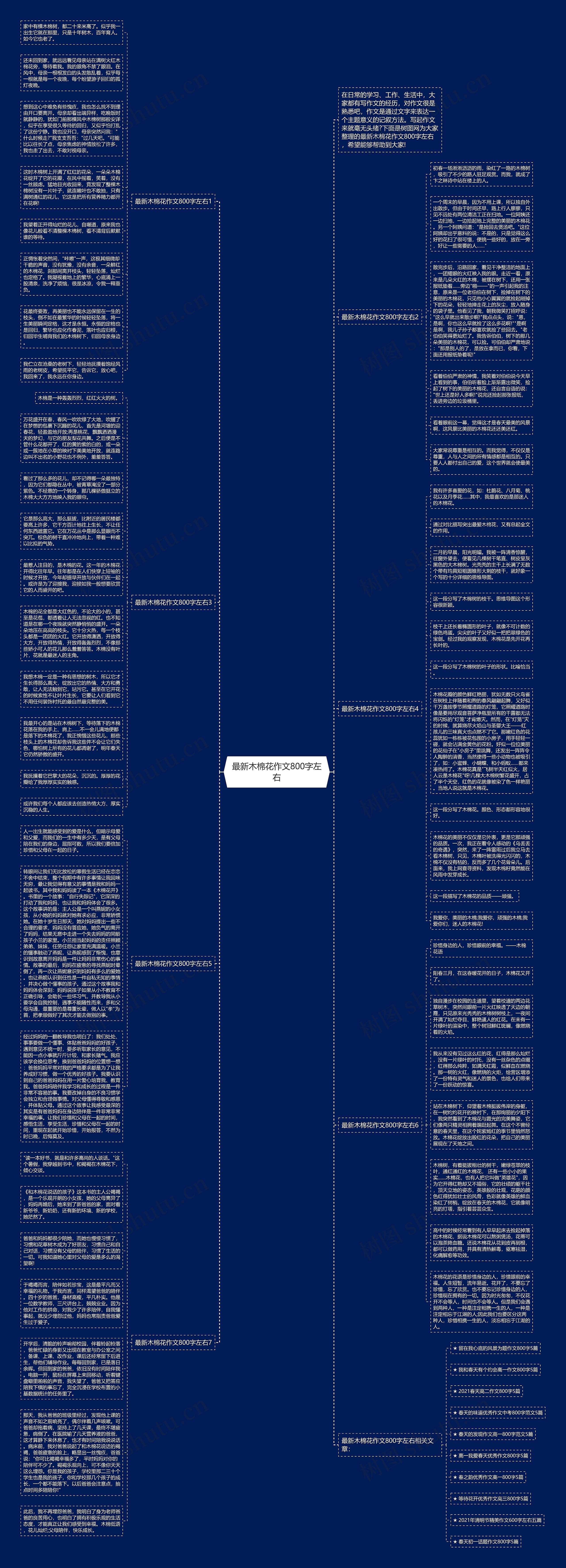 最新木棉花作文800字左右思维导图