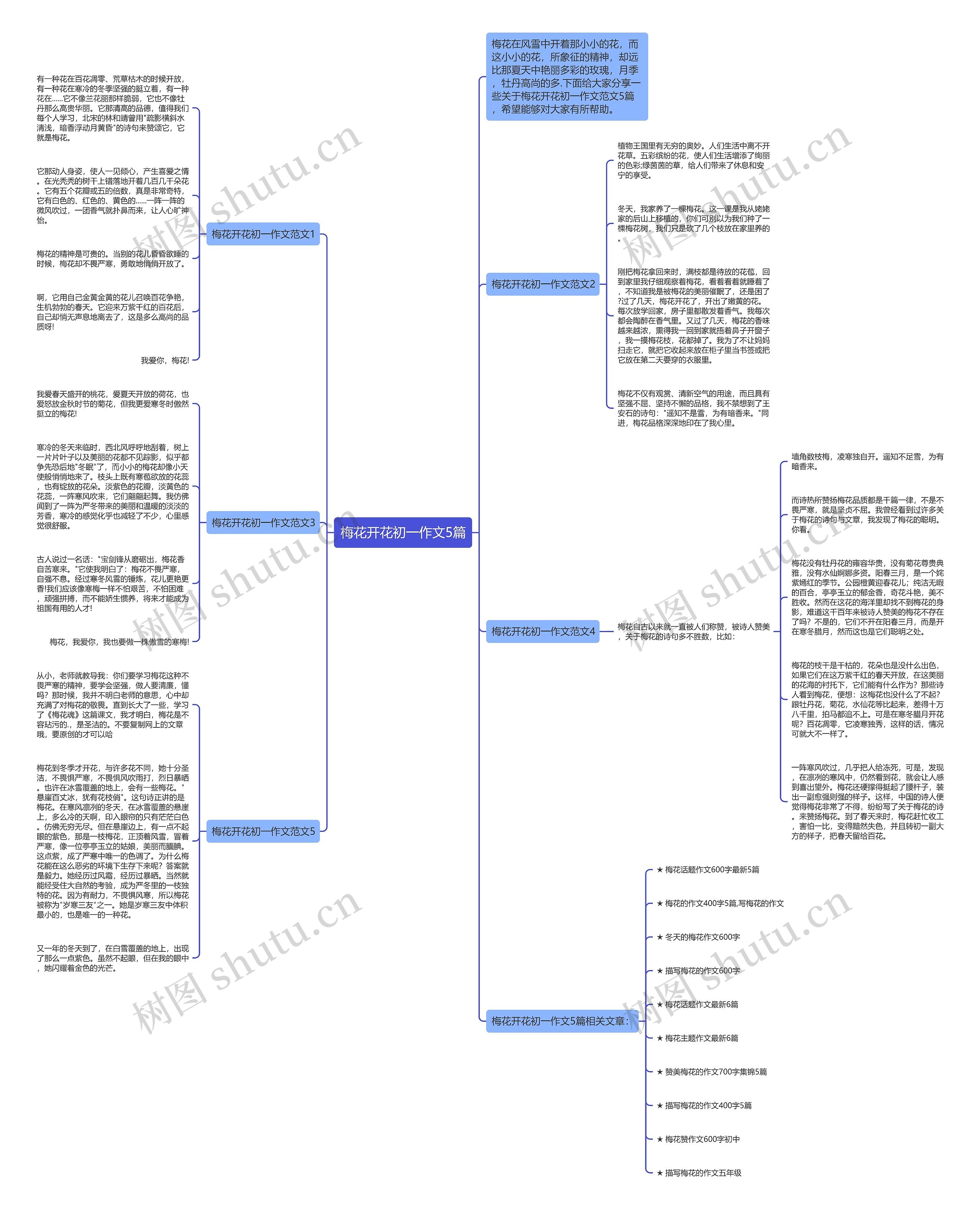 梅花开花初一作文5篇思维导图