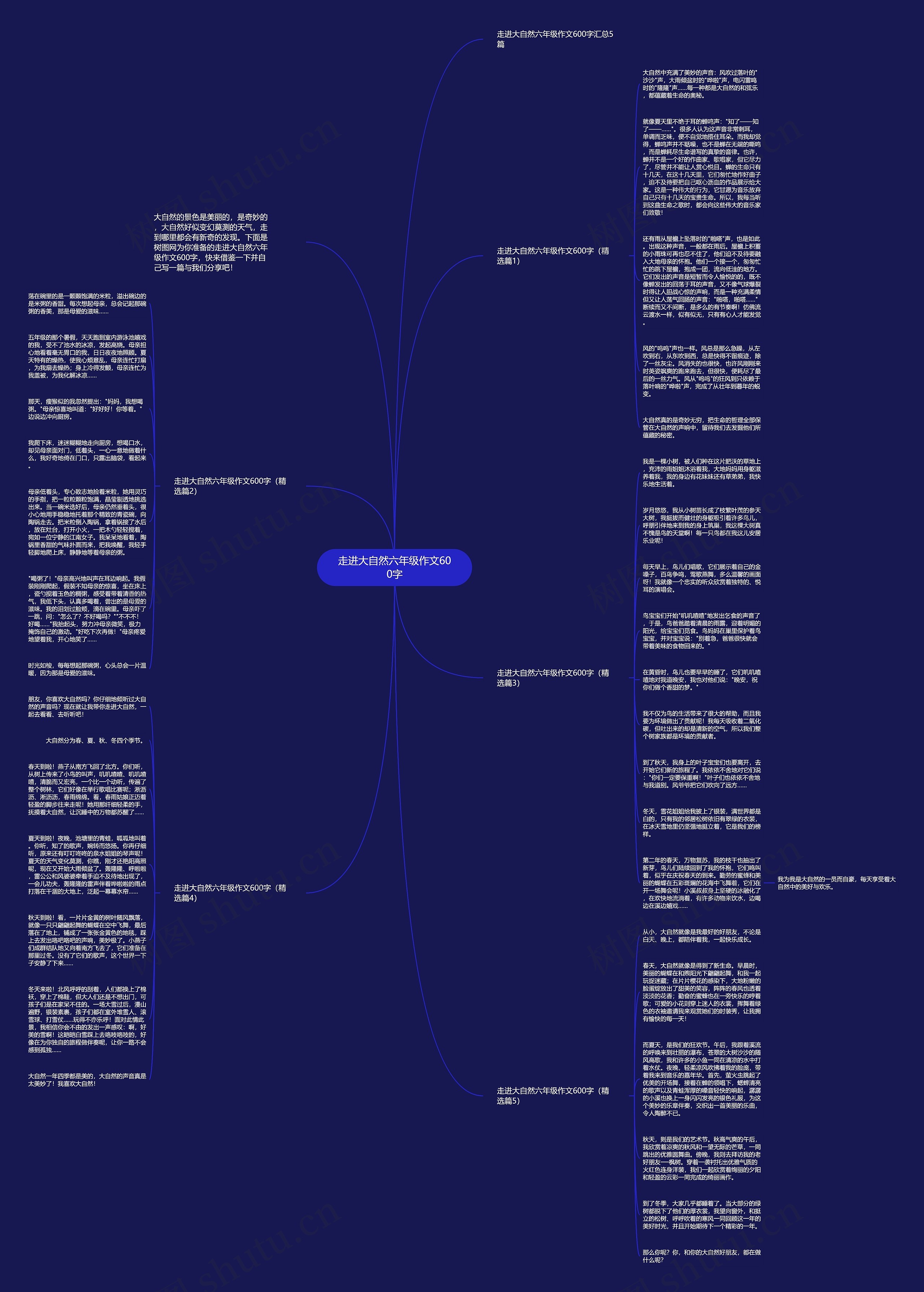 走进大自然六年级作文600字思维导图