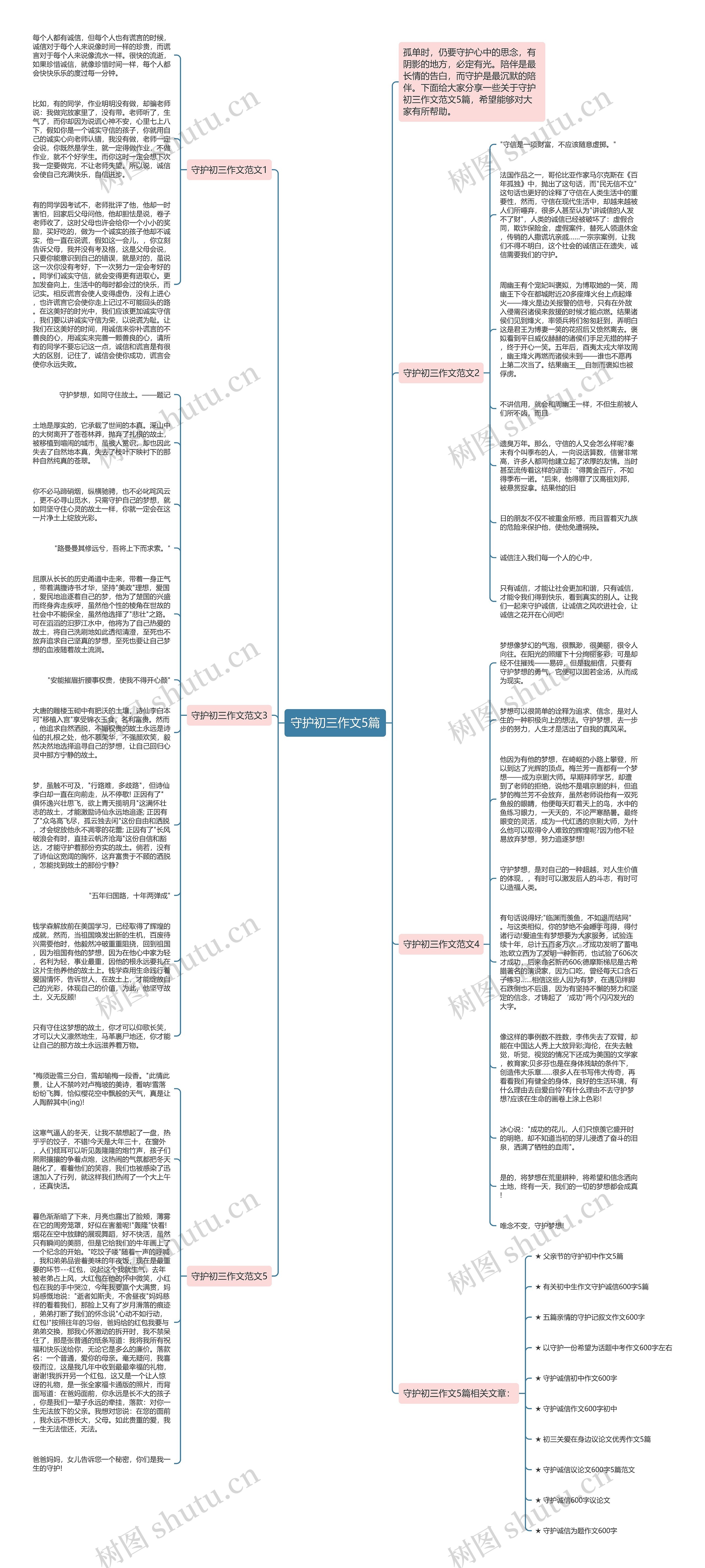 守护初三作文5篇思维导图