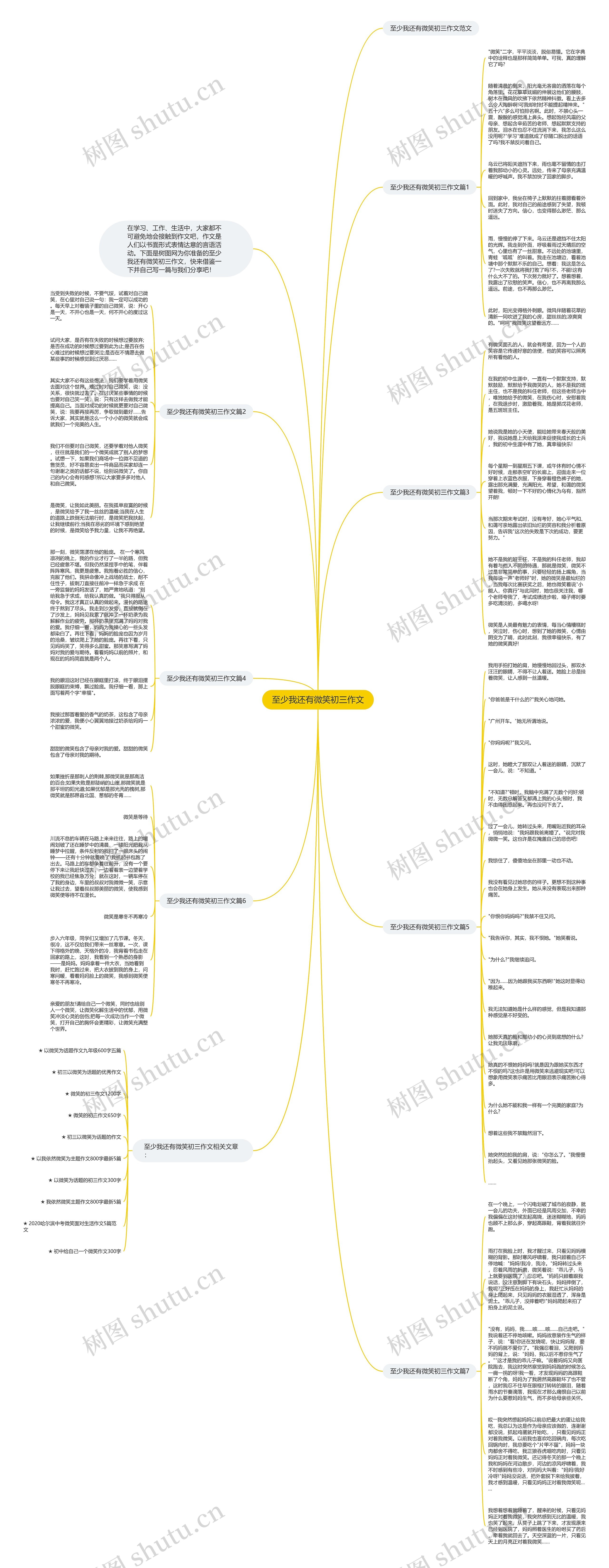 至少我还有微笑初三作文思维导图