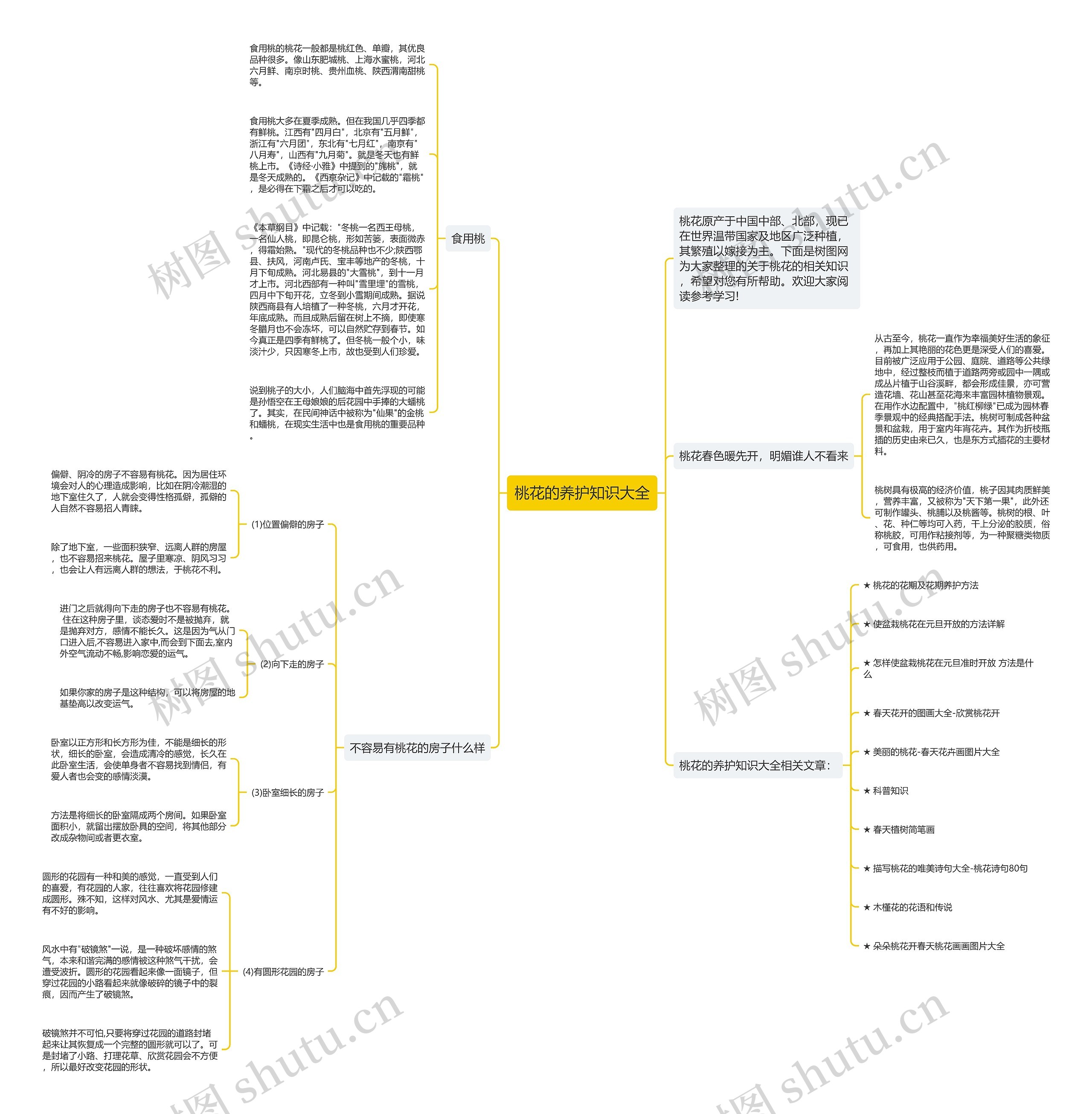桃花的养护知识大全思维导图