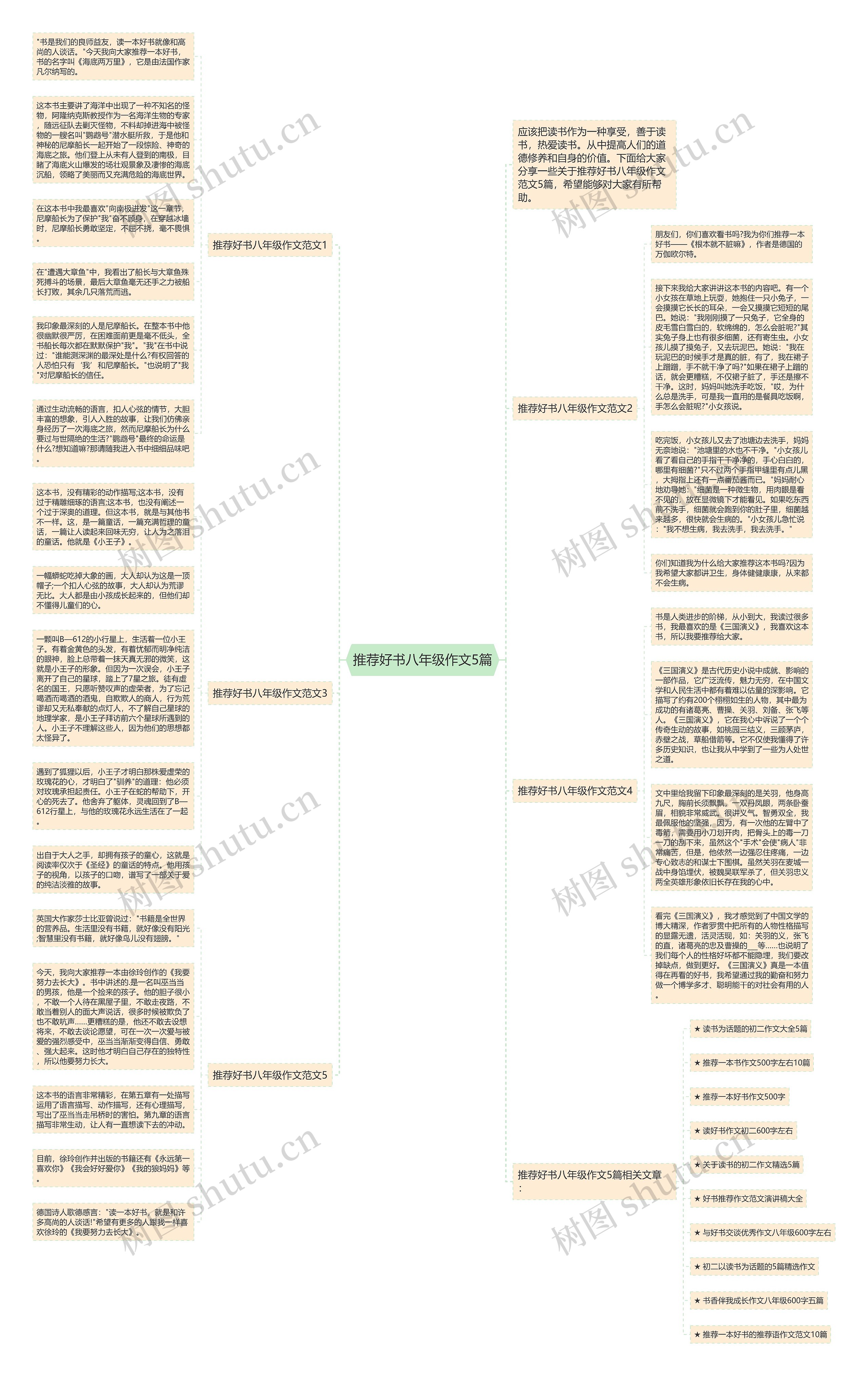 推荐好书八年级作文5篇思维导图