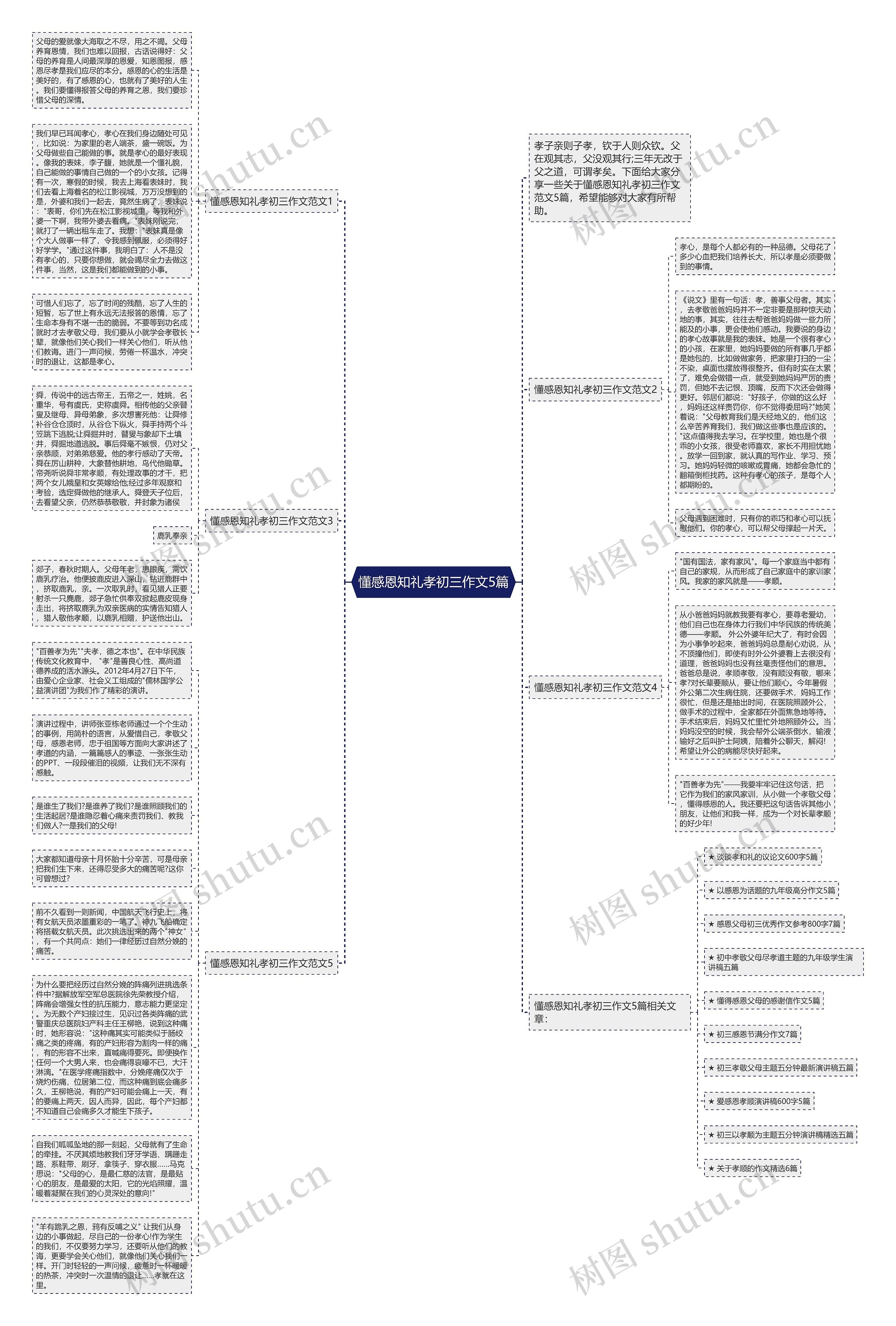 懂感恩知礼孝初三作文5篇思维导图