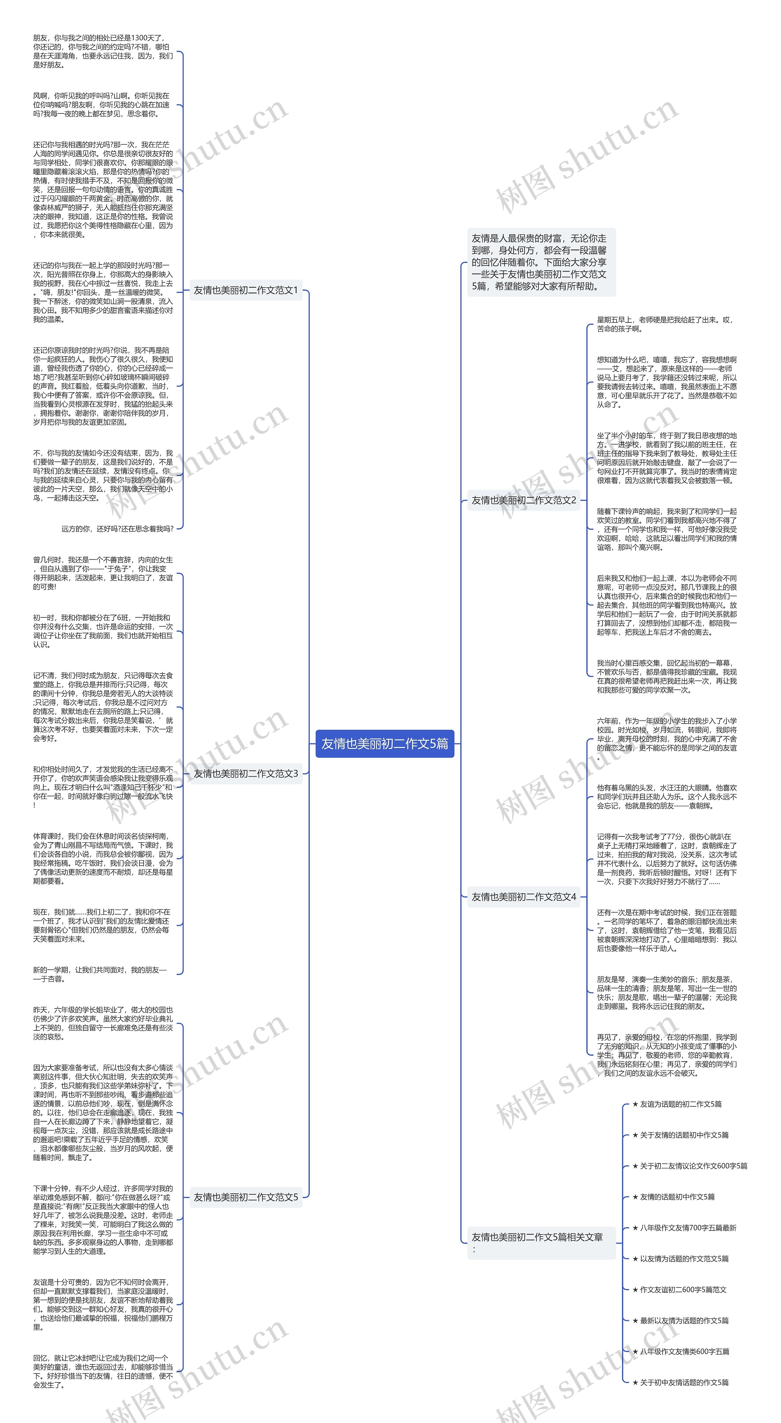 友情也美丽初二作文5篇思维导图