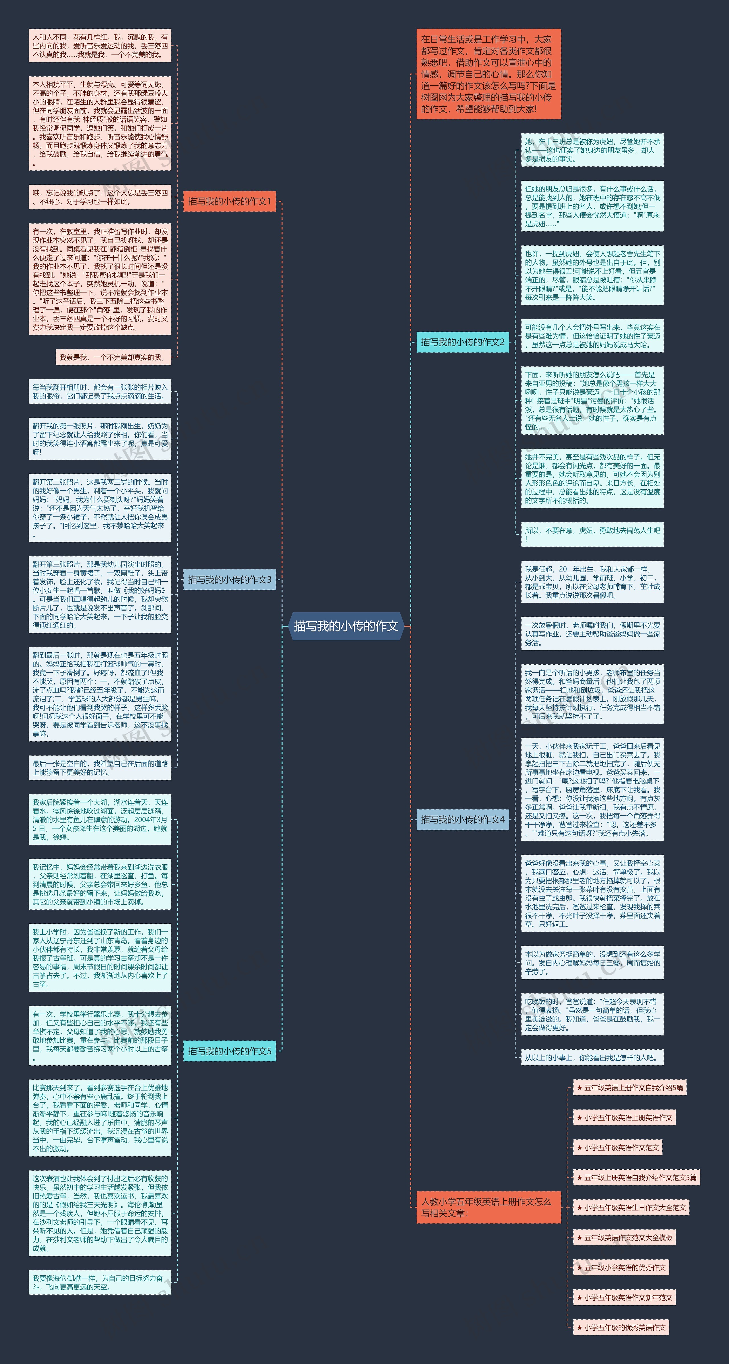 描写我的小传的作文思维导图