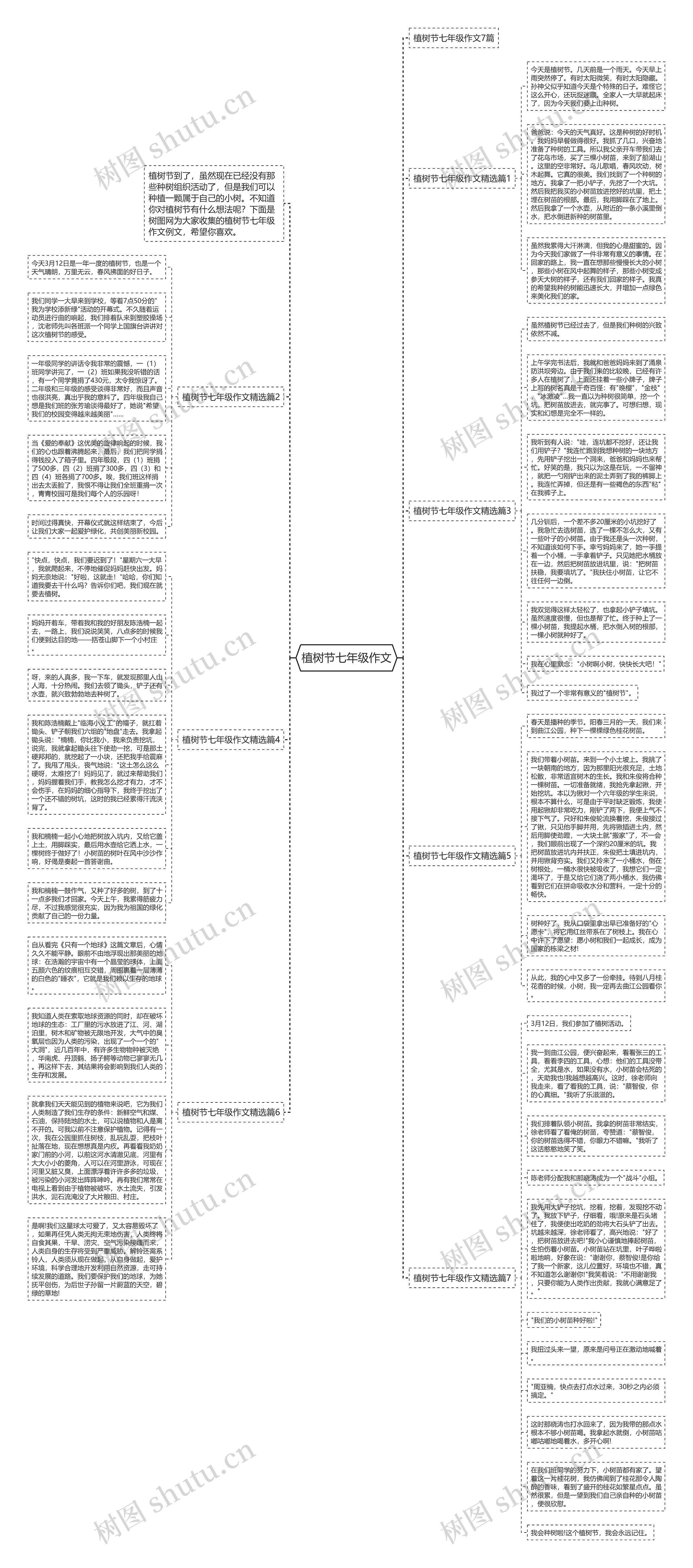 植树节七年级作文思维导图