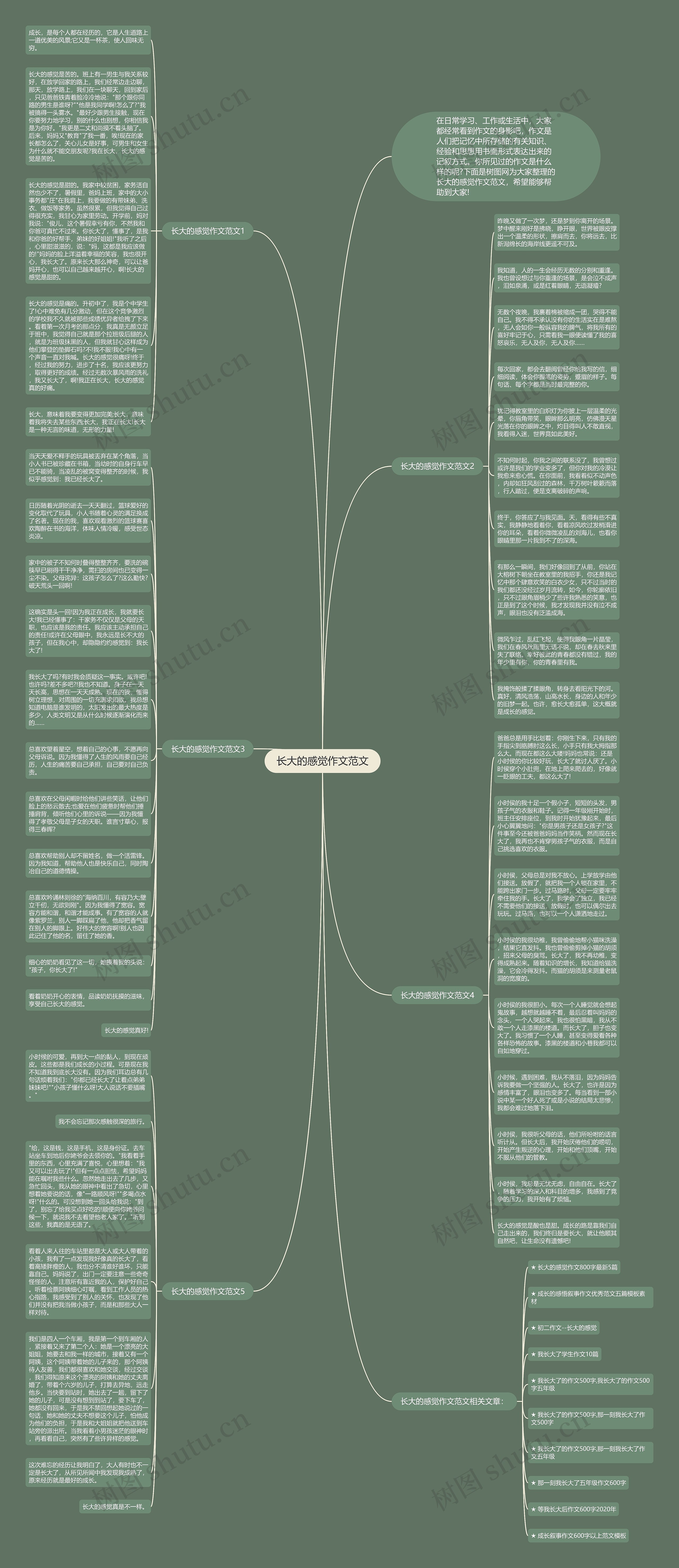 长大的感觉作文范文思维导图