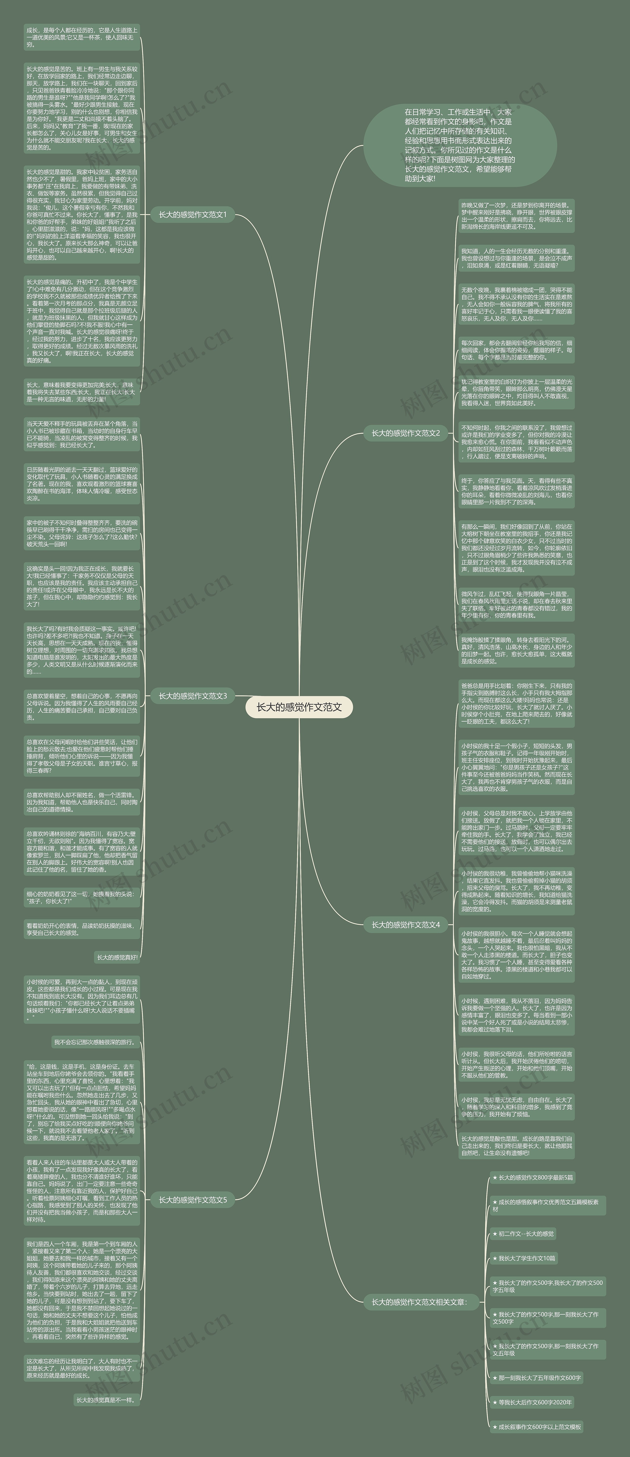 长大的感觉作文范文思维导图高清图 长大的感觉作文范文思维导图